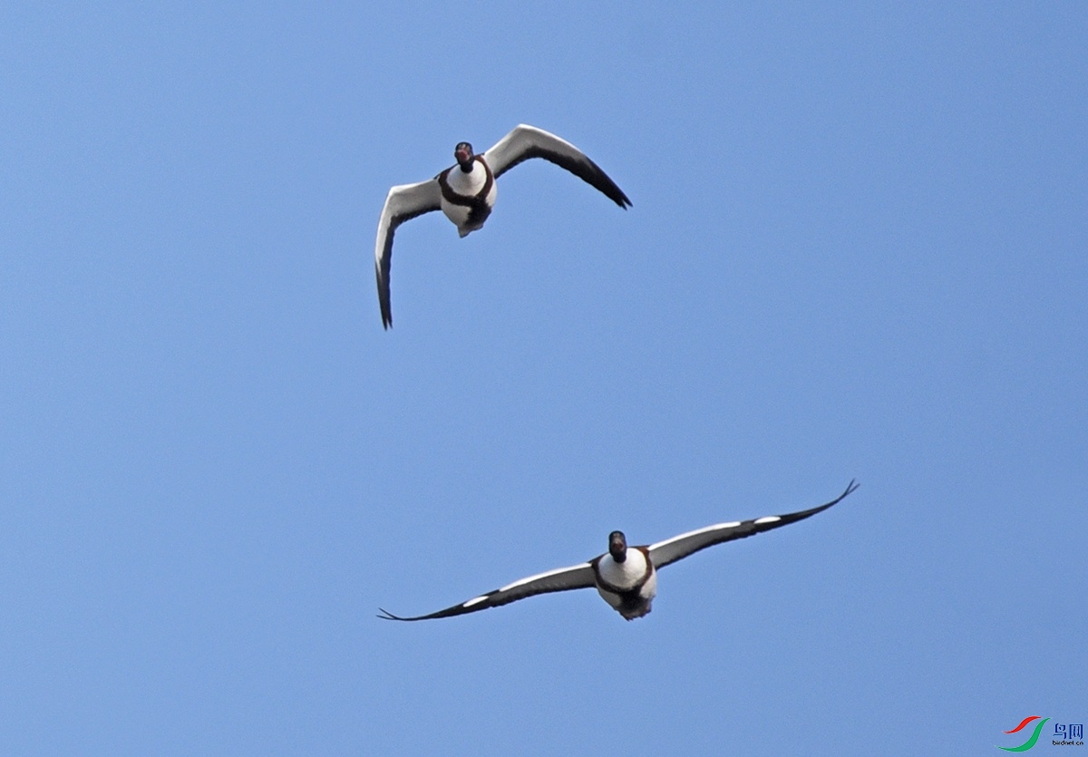 DSC_3007f_��ͼ��.jpg