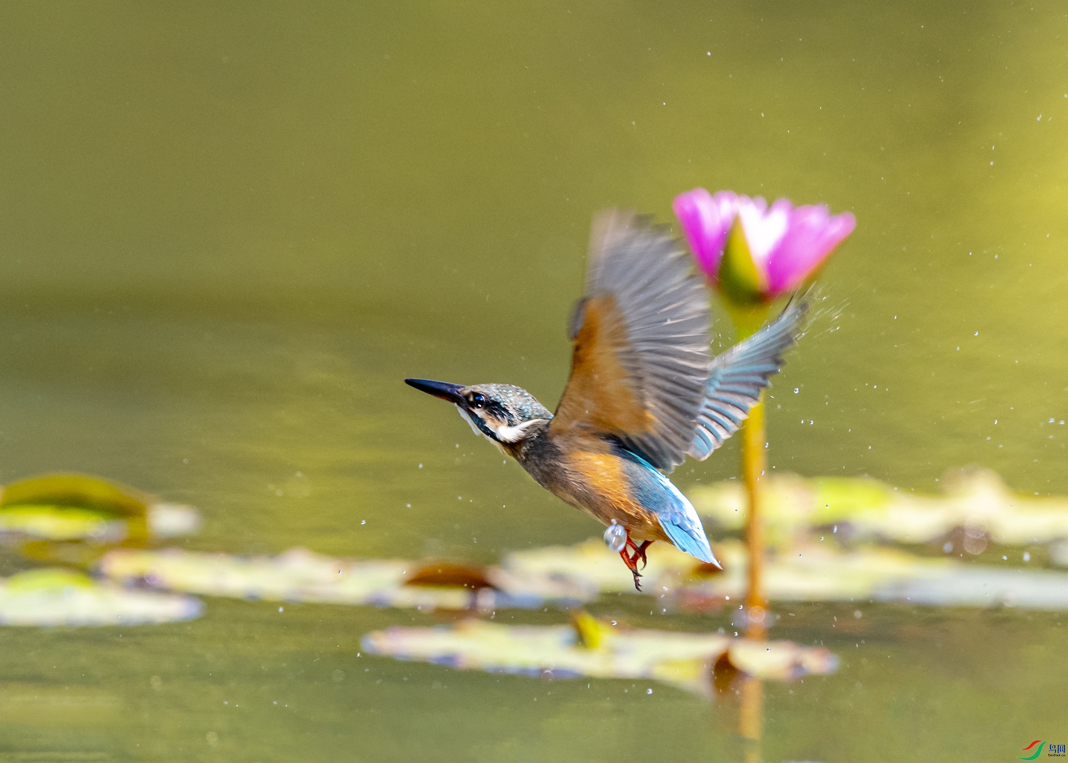 9907 ����.jpg