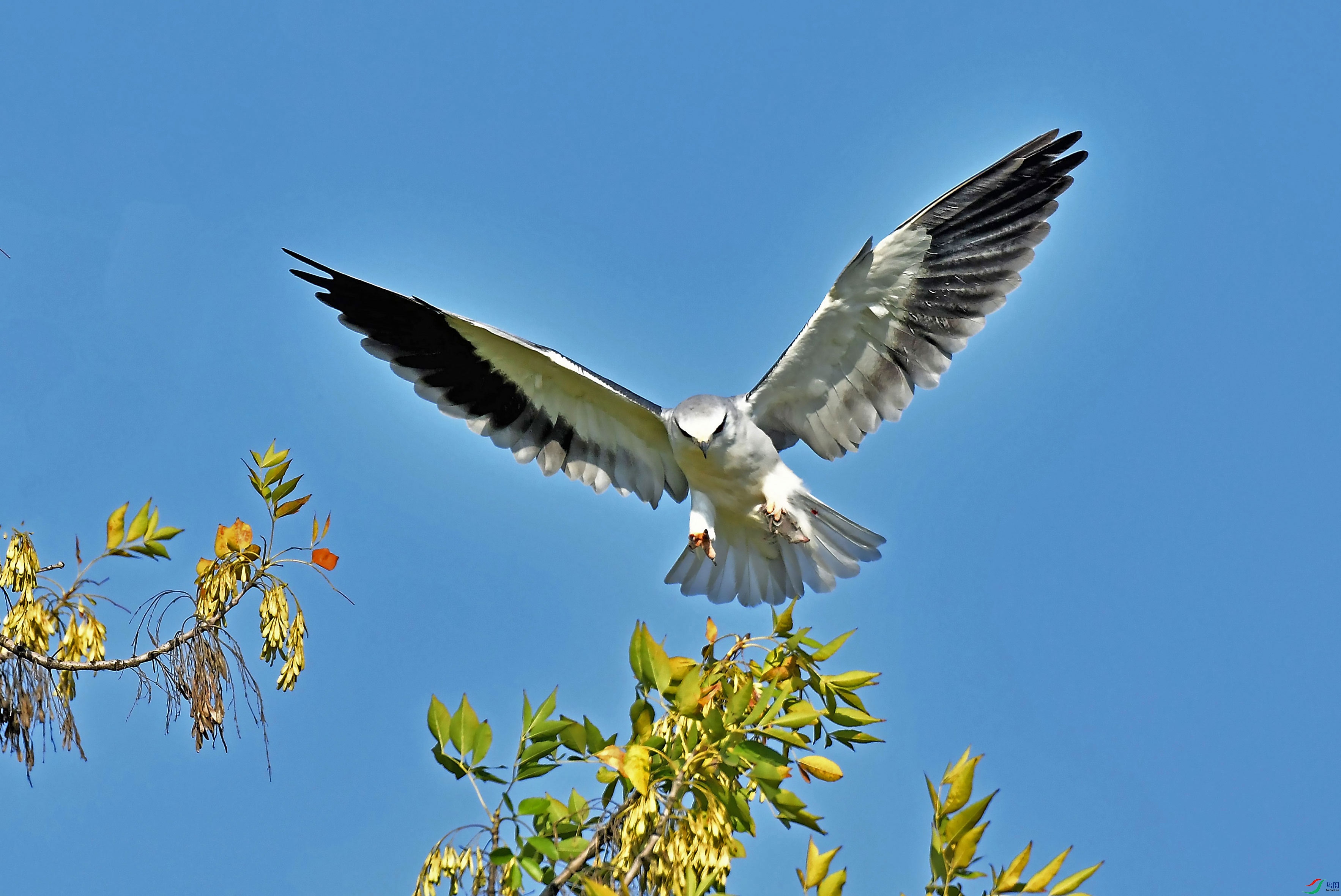 DSC_6316.JPG