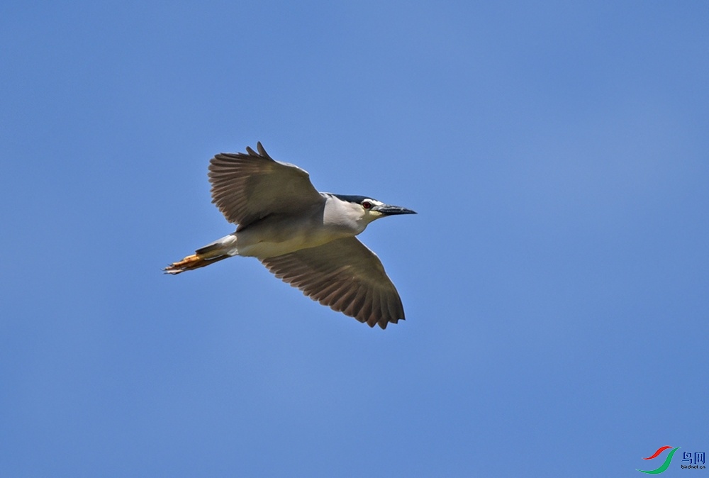 DSC_9689.jpg