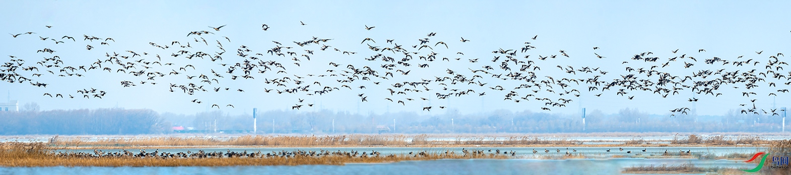 20220408 (1)-Pano.jpg