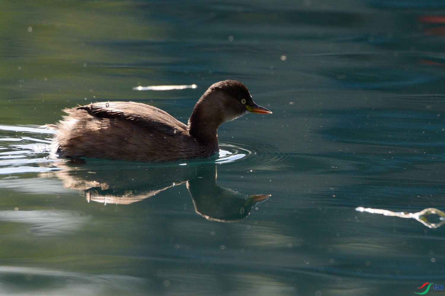 DSC_0773.JPG