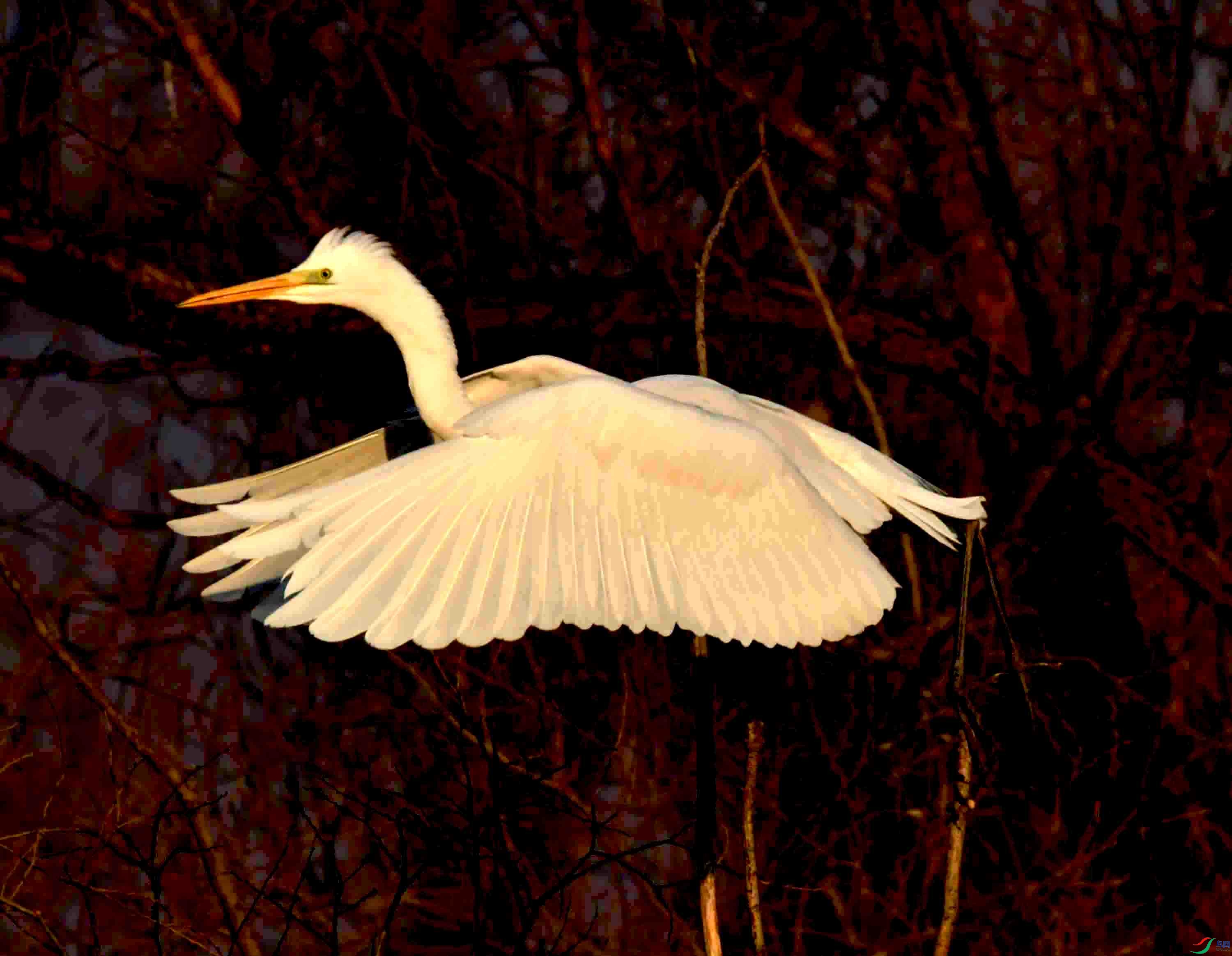 DSC_1430.JPG