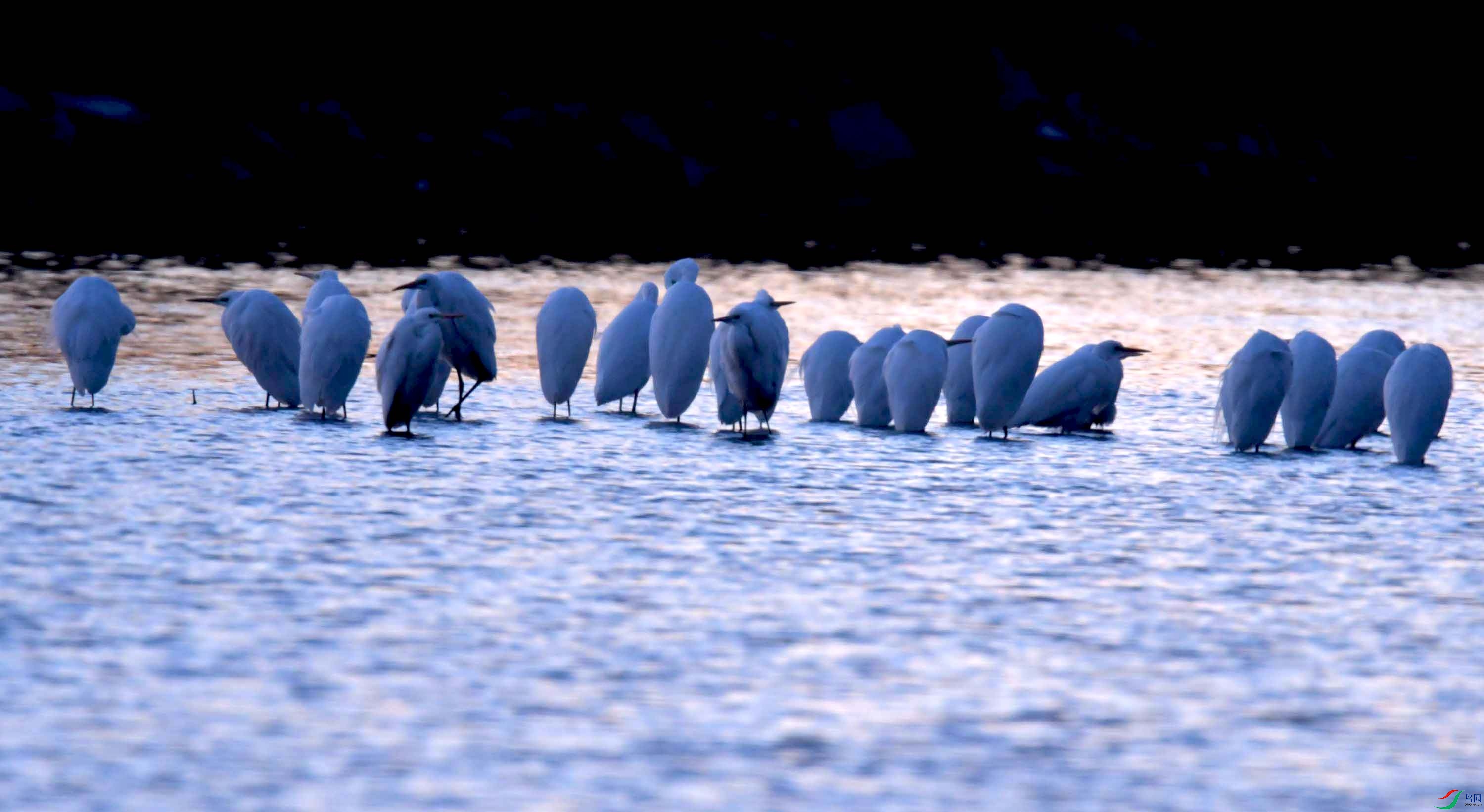 DSC_1085.JPG