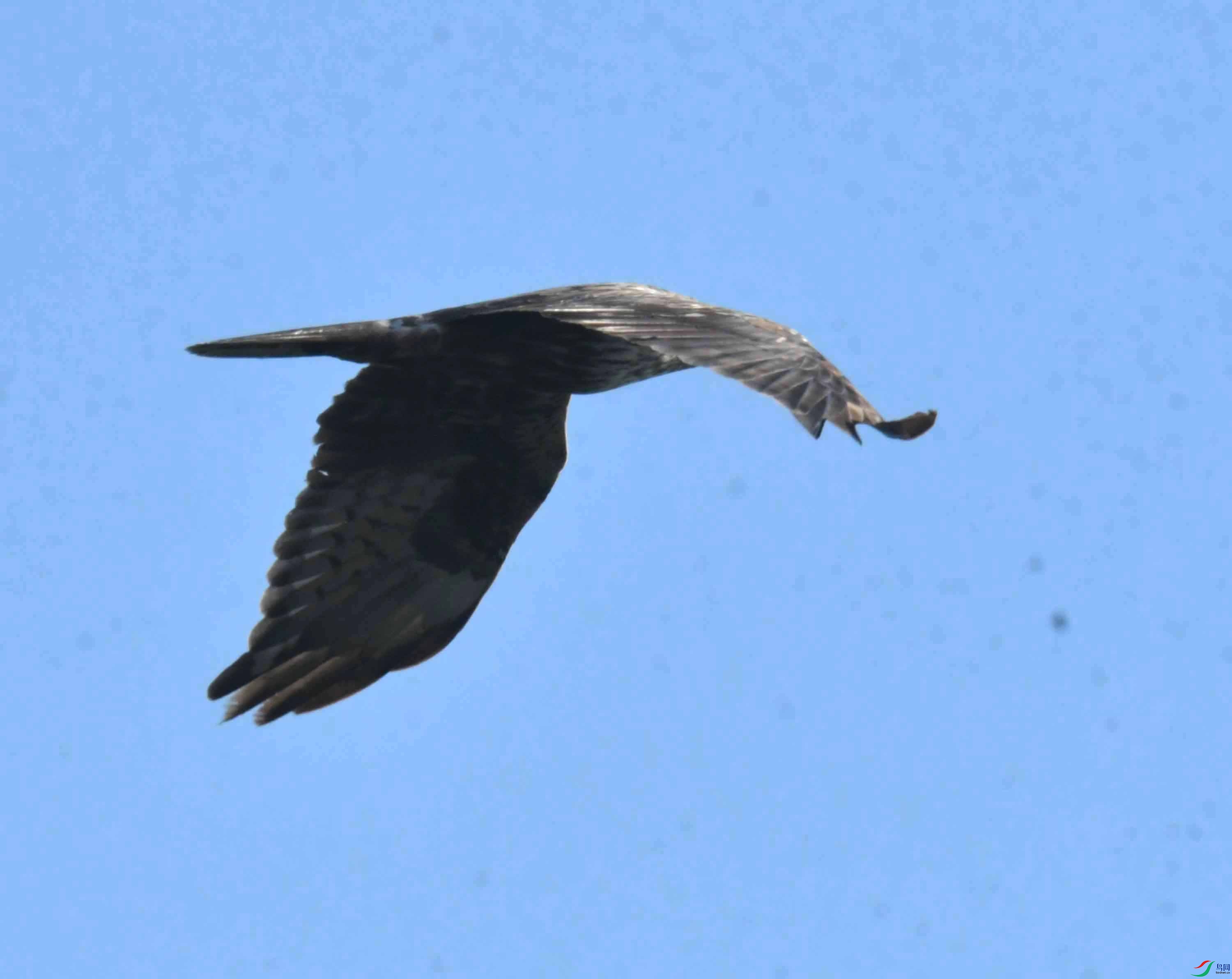 DSC_5770.JPG