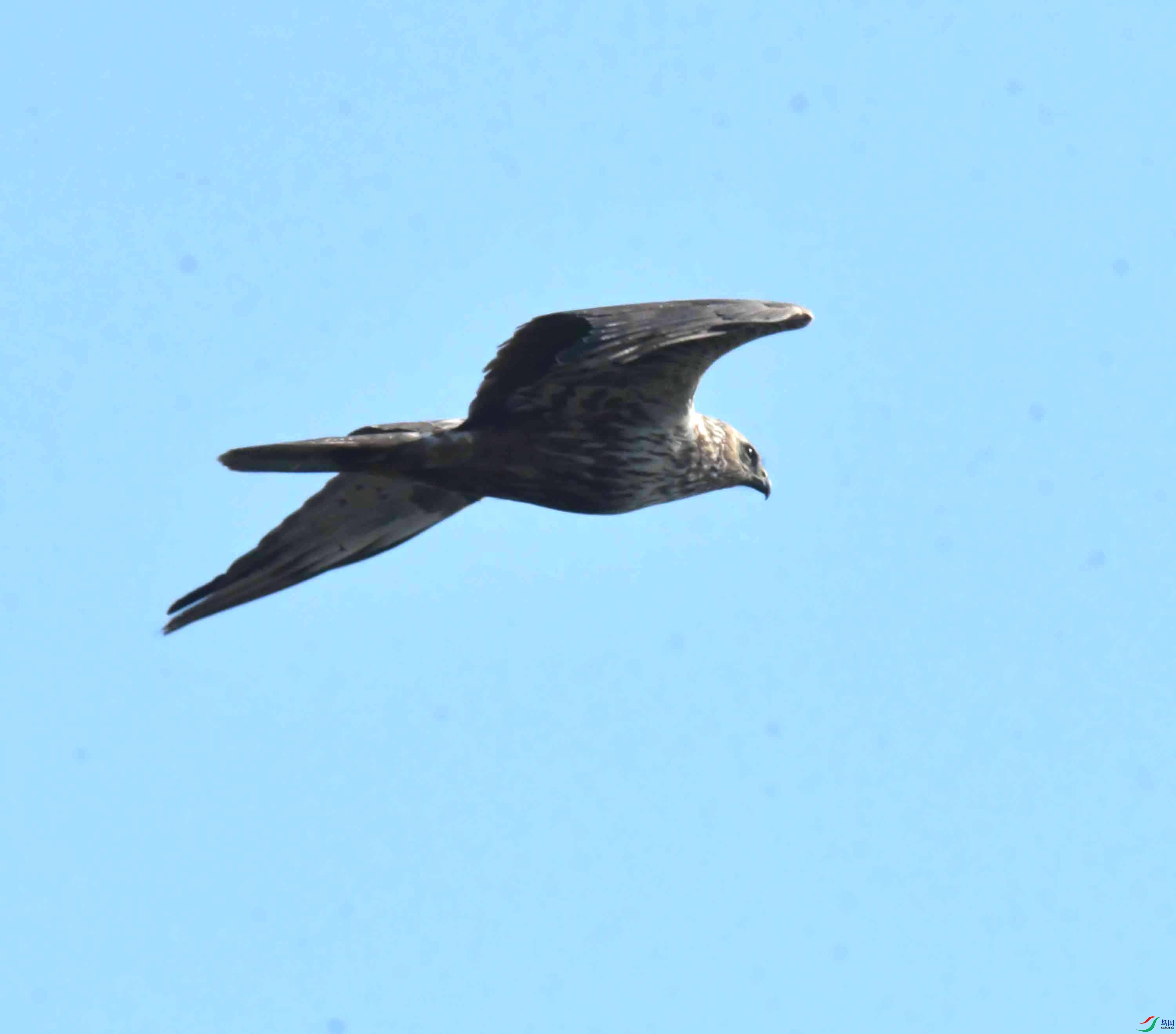 DSC_5771.JPG