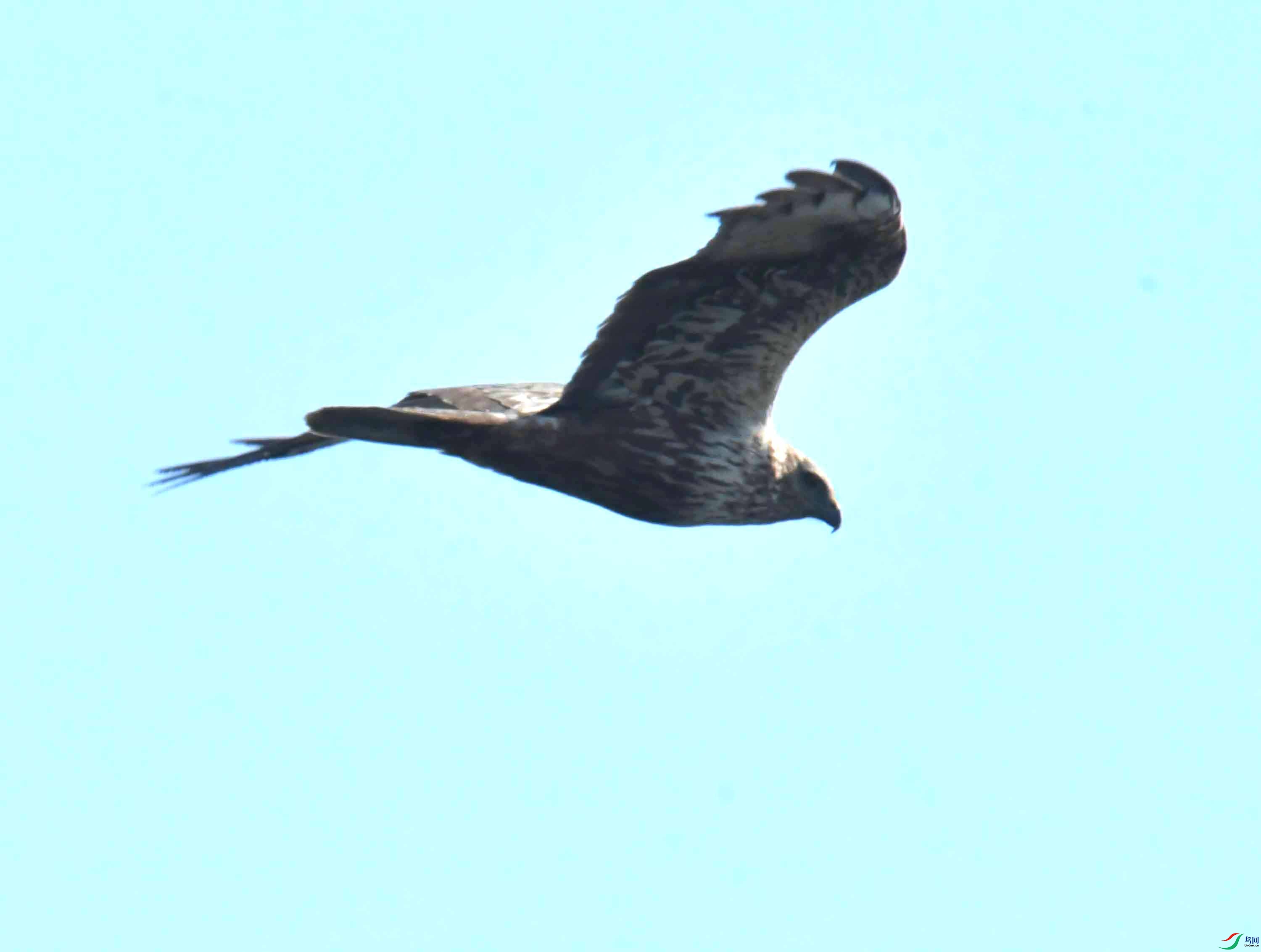 DSC_5776.JPG