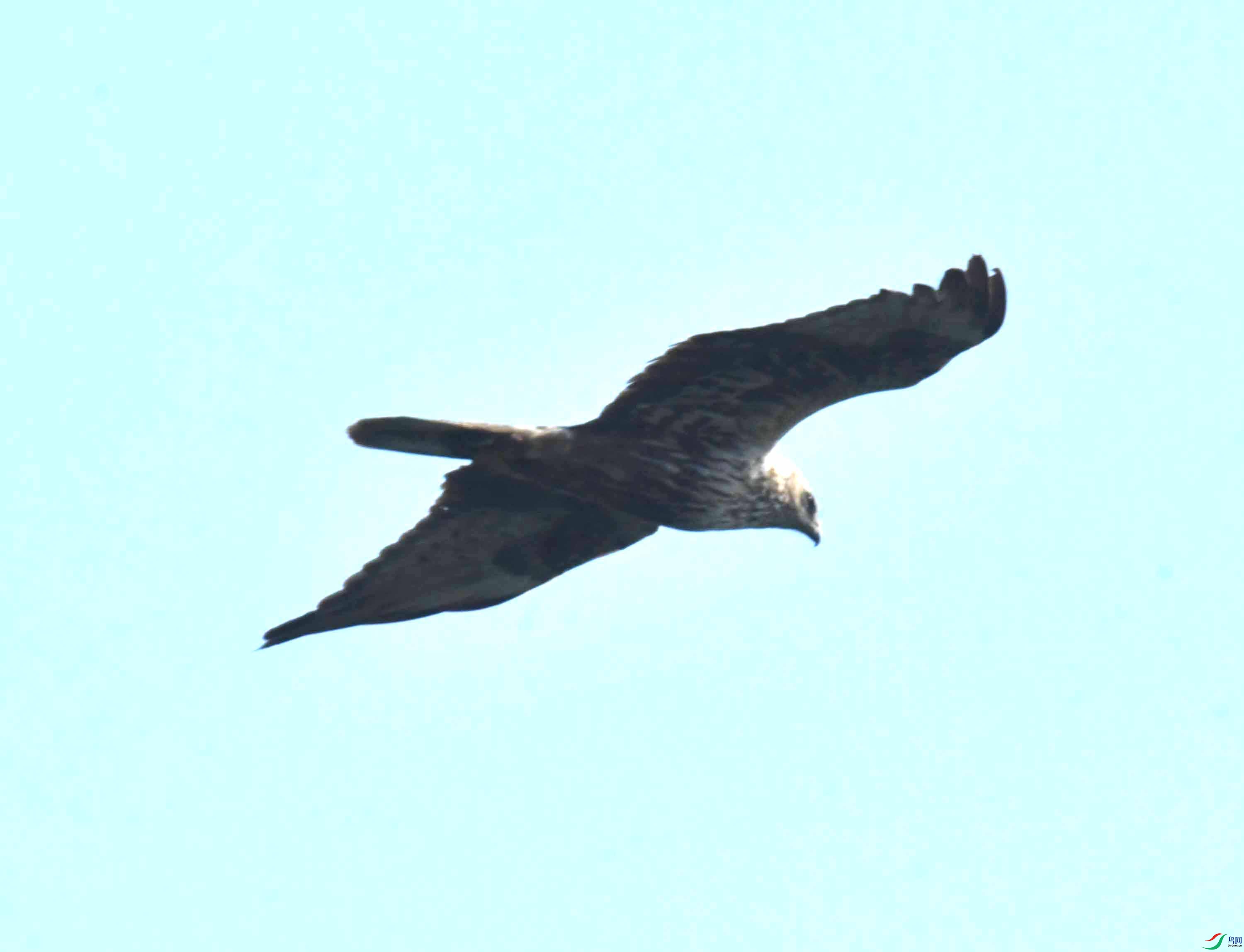 DSC_5773.JPG
