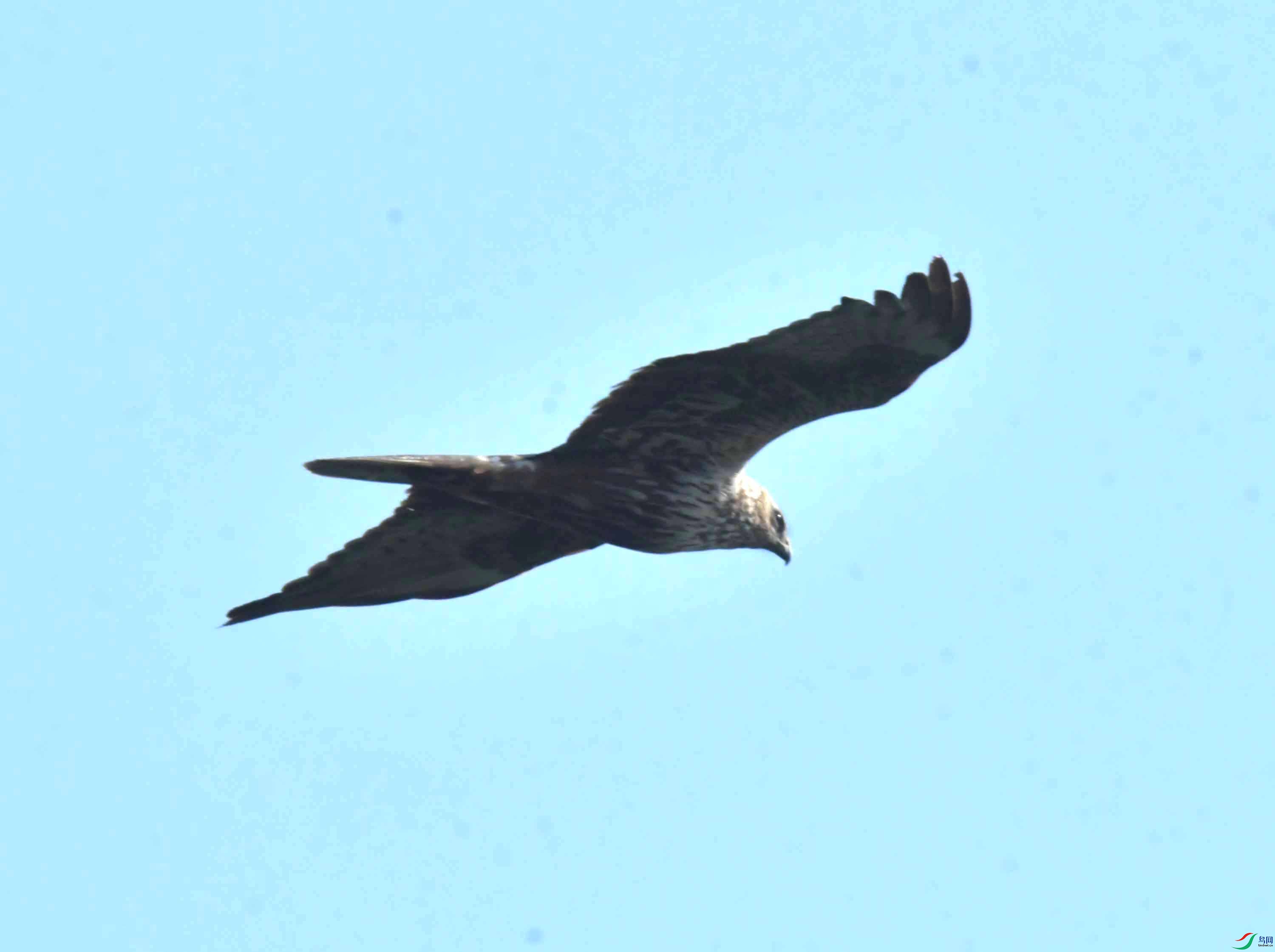 DSC_5772.JPG