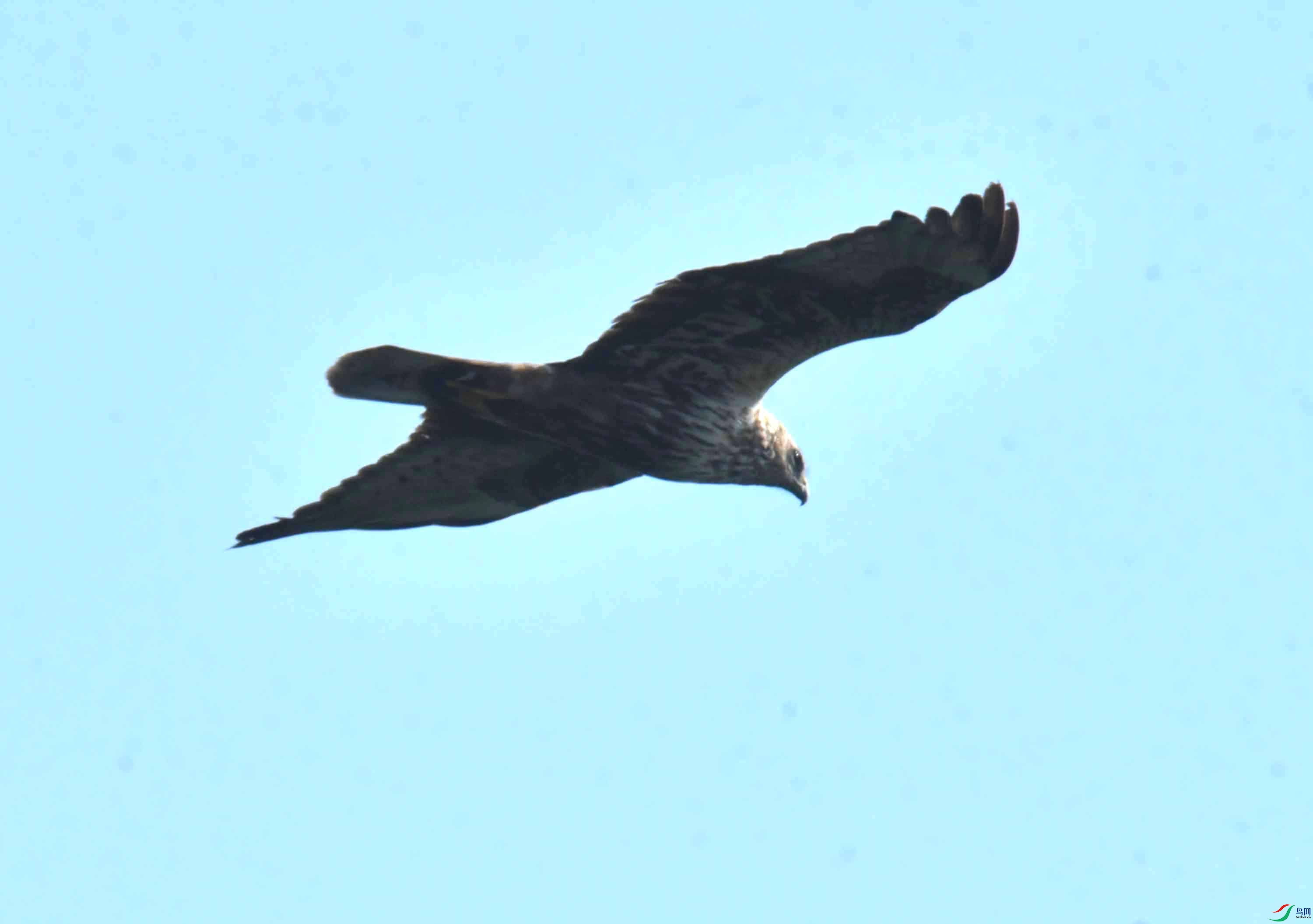 DSC_5774.JPG