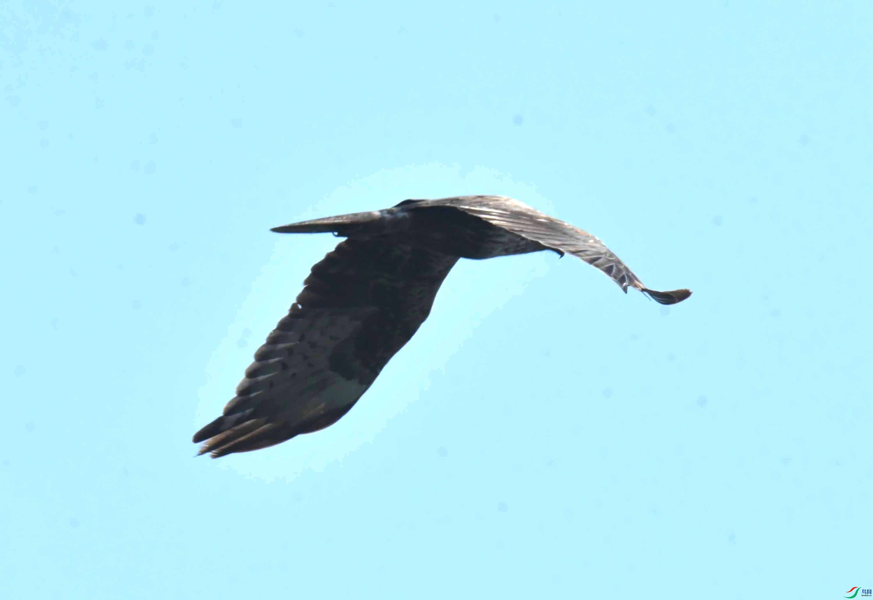 DSC_5775.JPG
