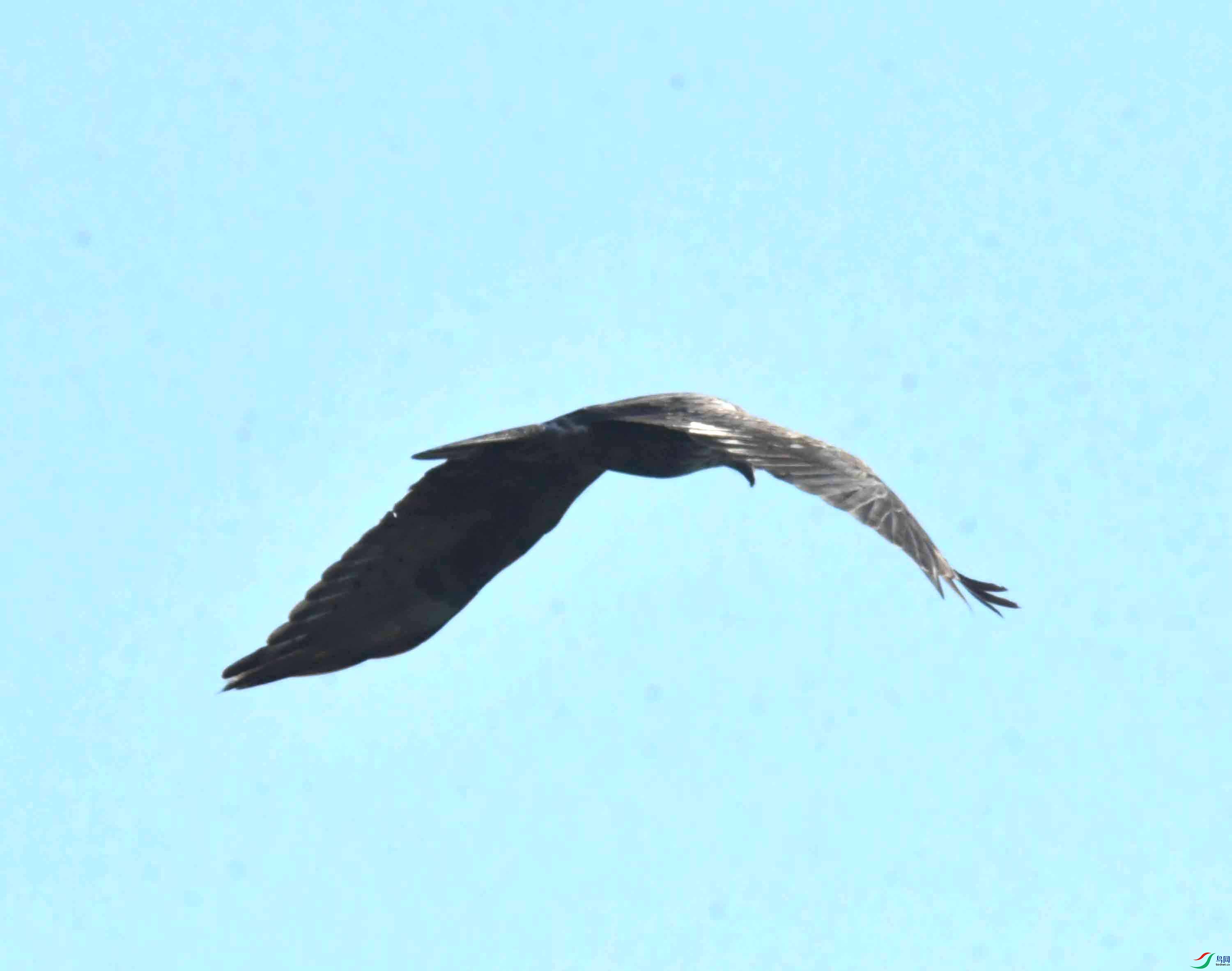 DSC_5782.JPG