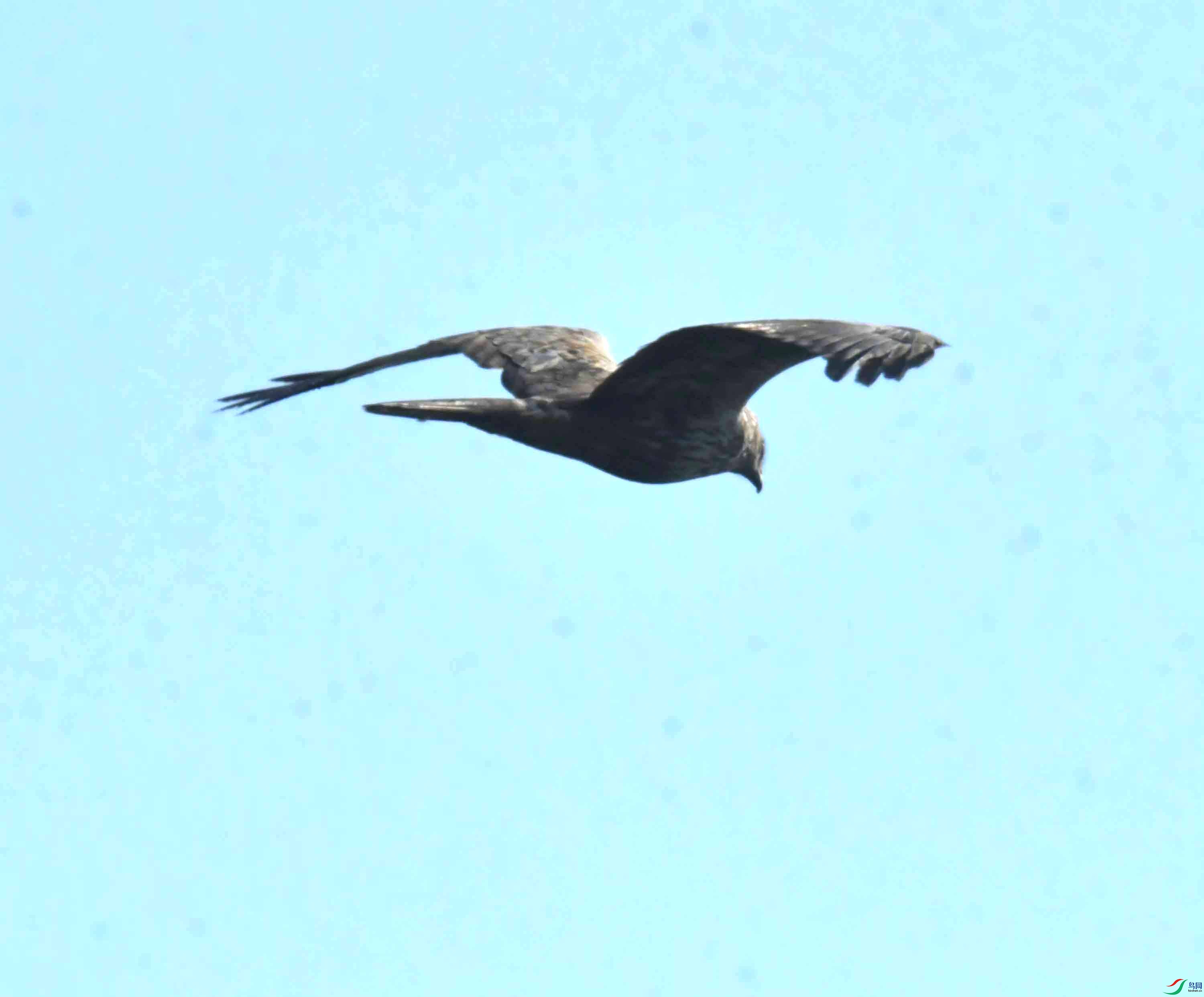 DSC_5783.JPG