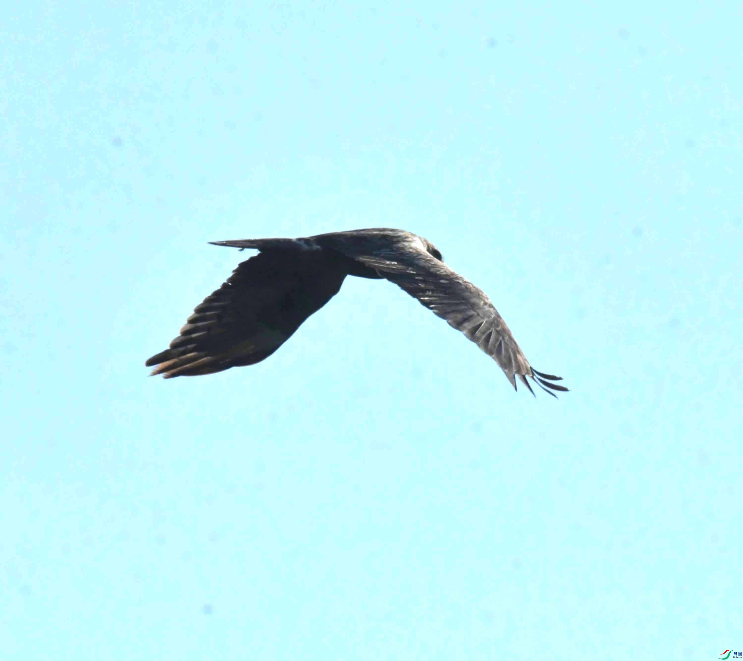 DSC_5786.JPG