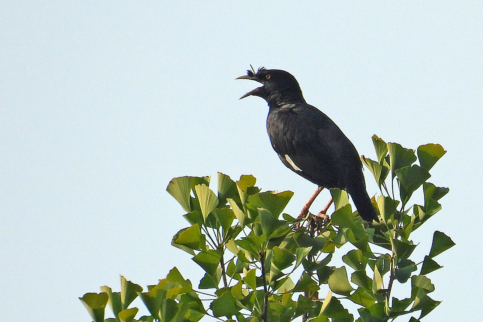 DSCN5223.jpg