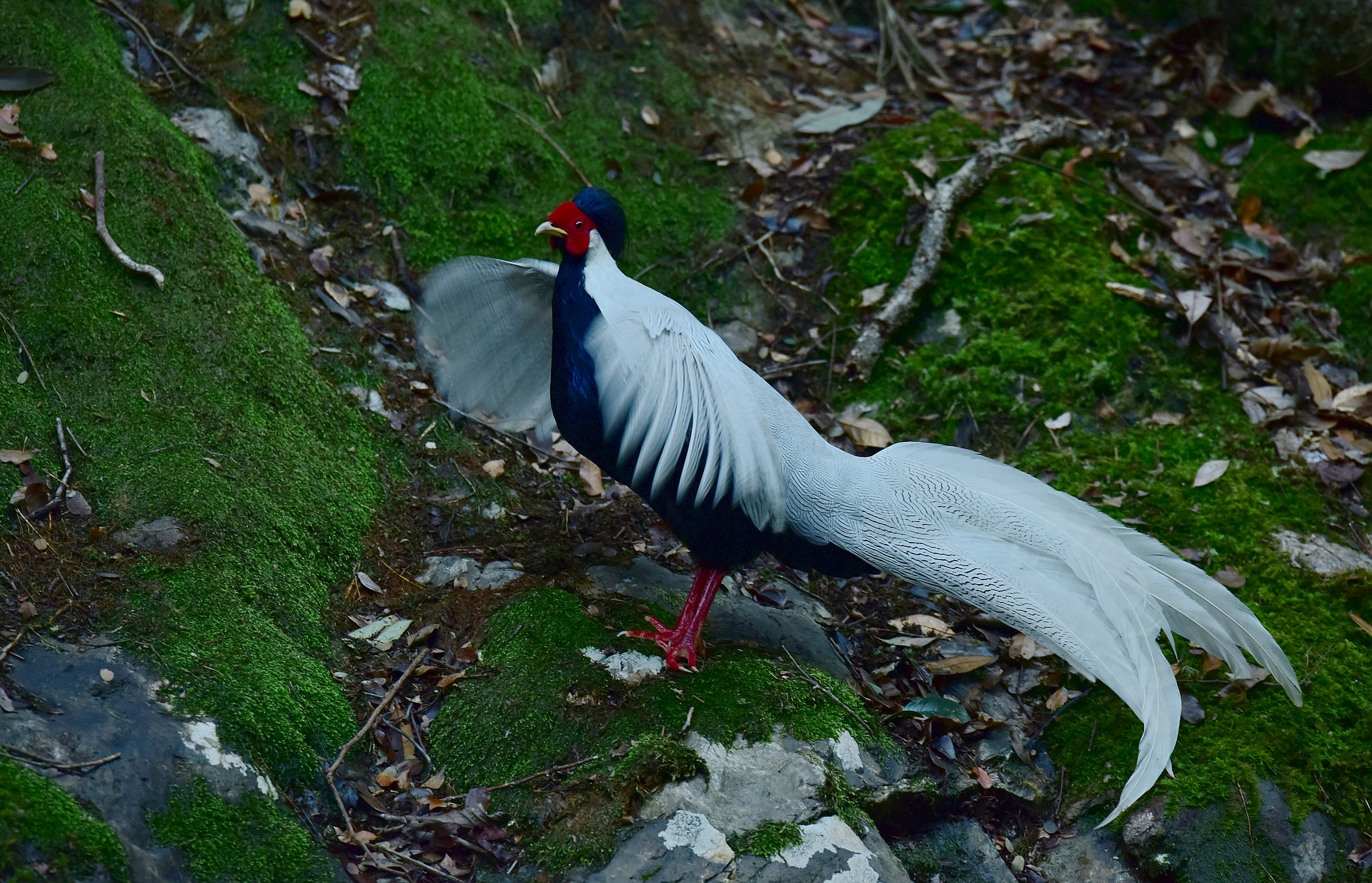 D8I_3499.jpg