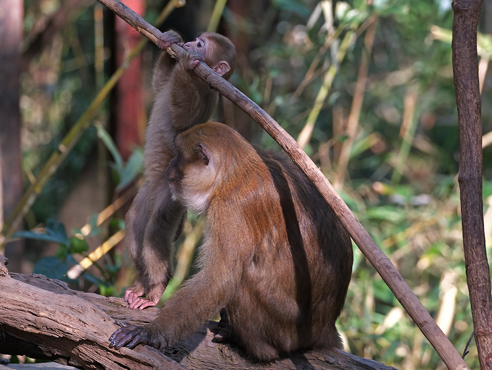 DSCF9836.1.jpg
