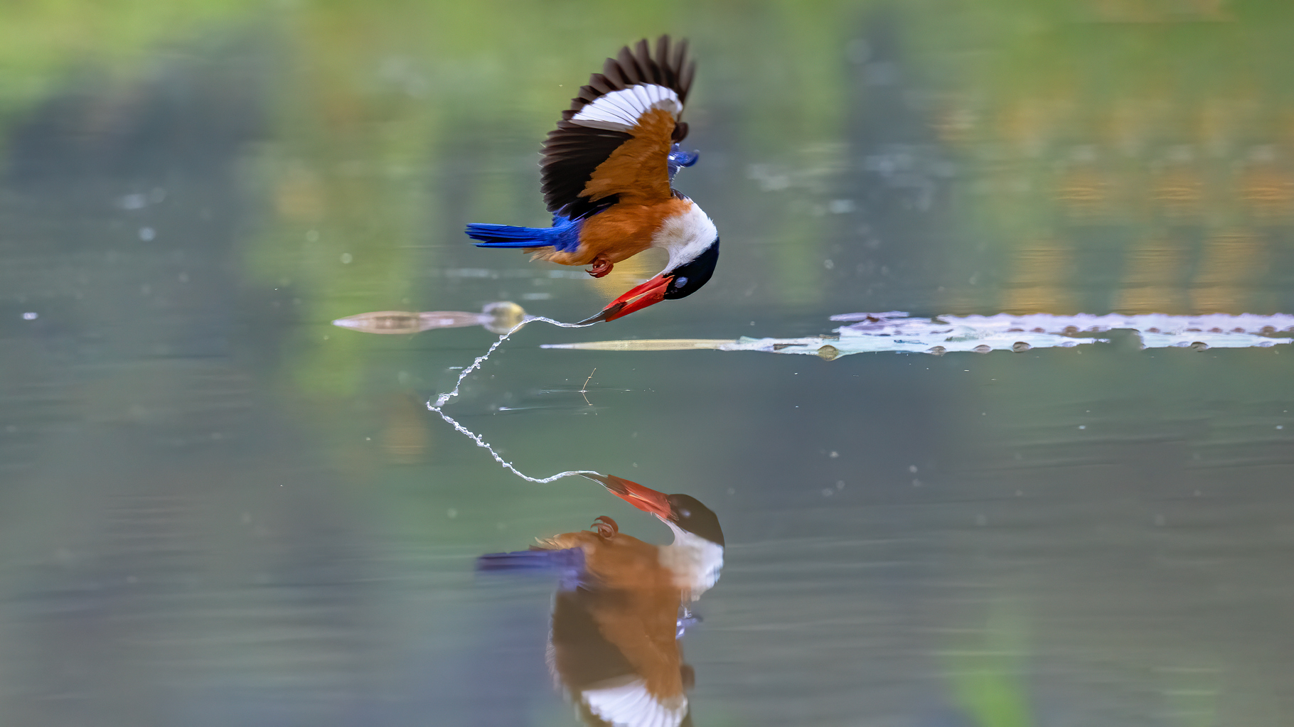 ��ƬDSC_0327 ����.jpg