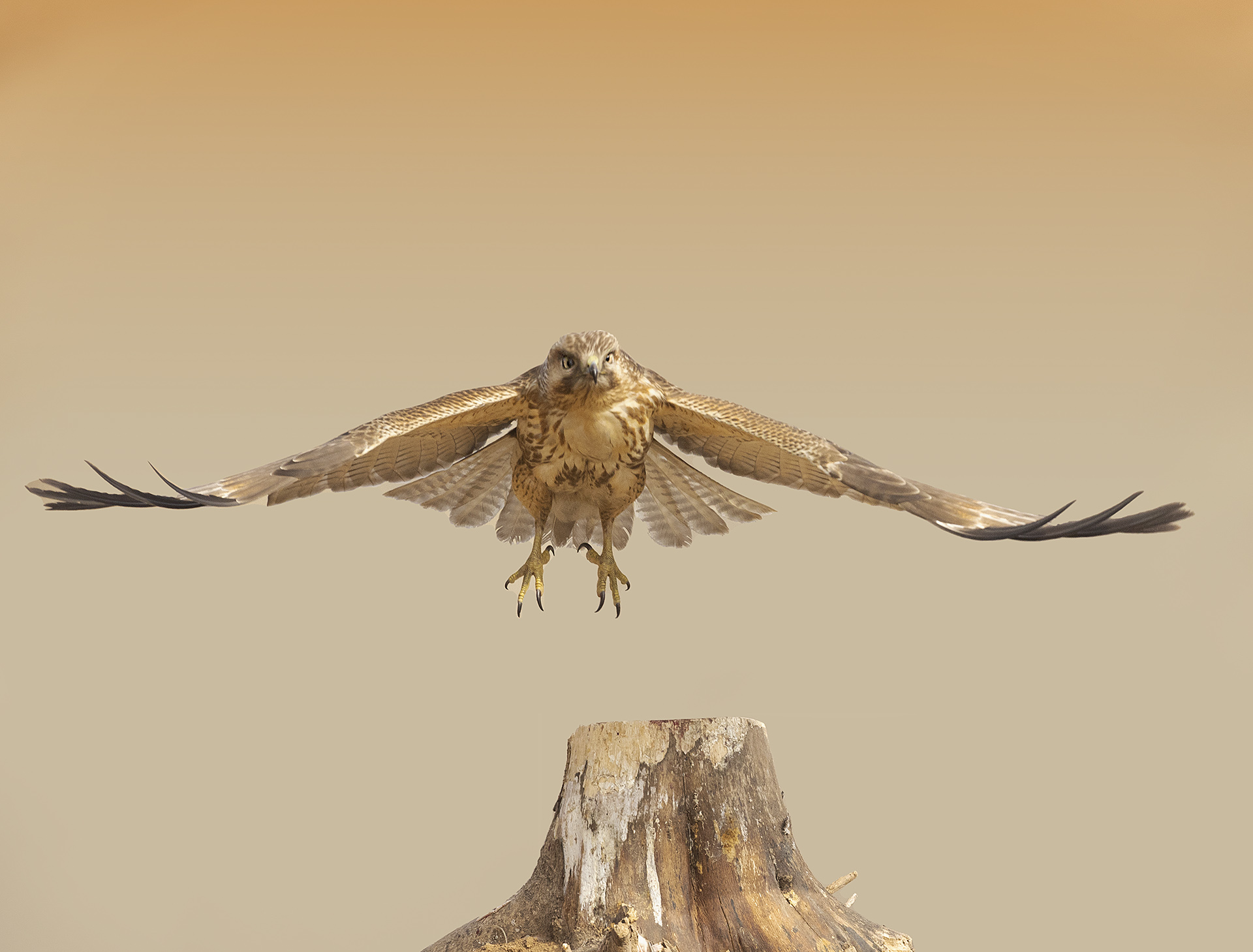 019A2147 ����.jpg