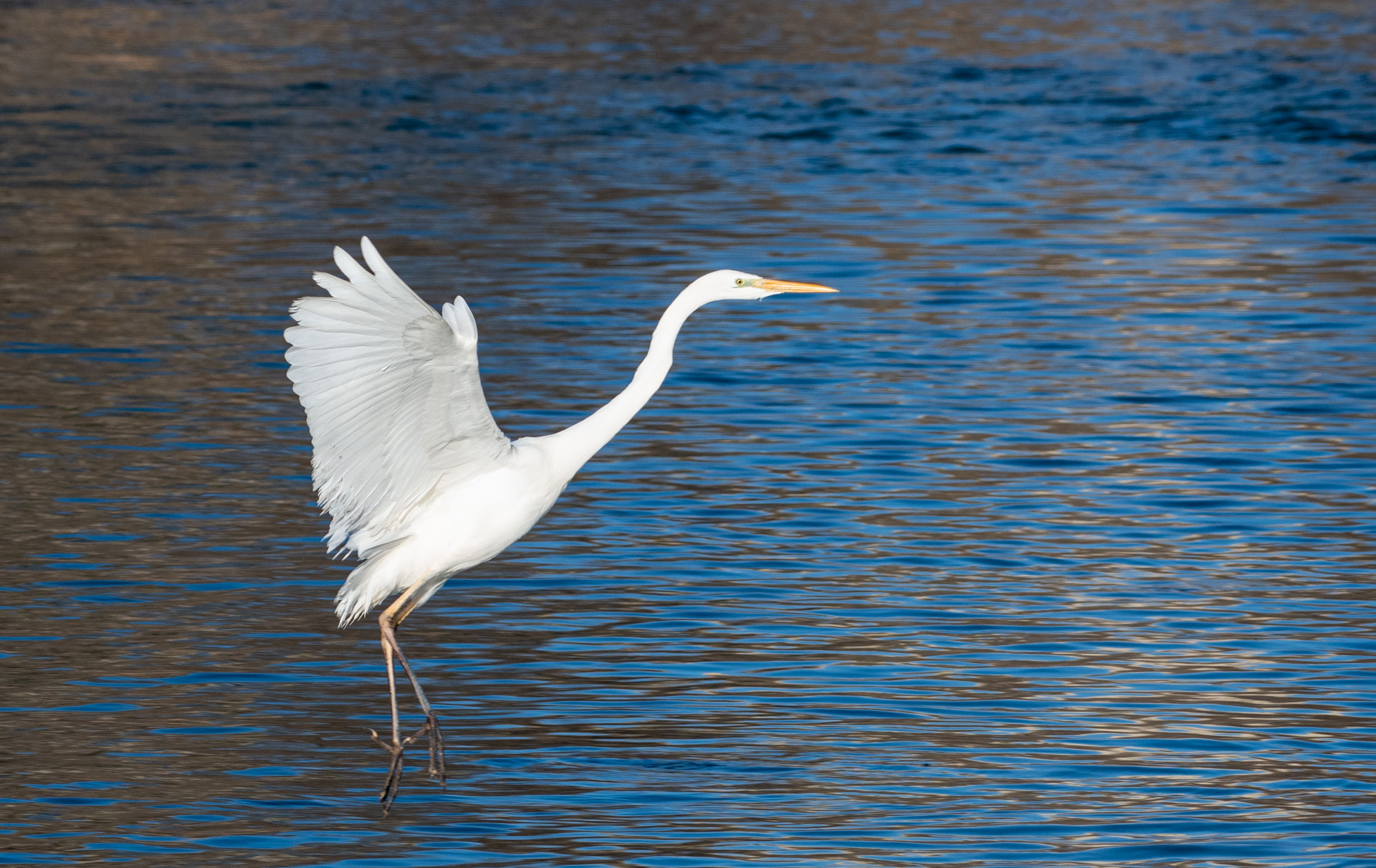 DSC_3877.jpg