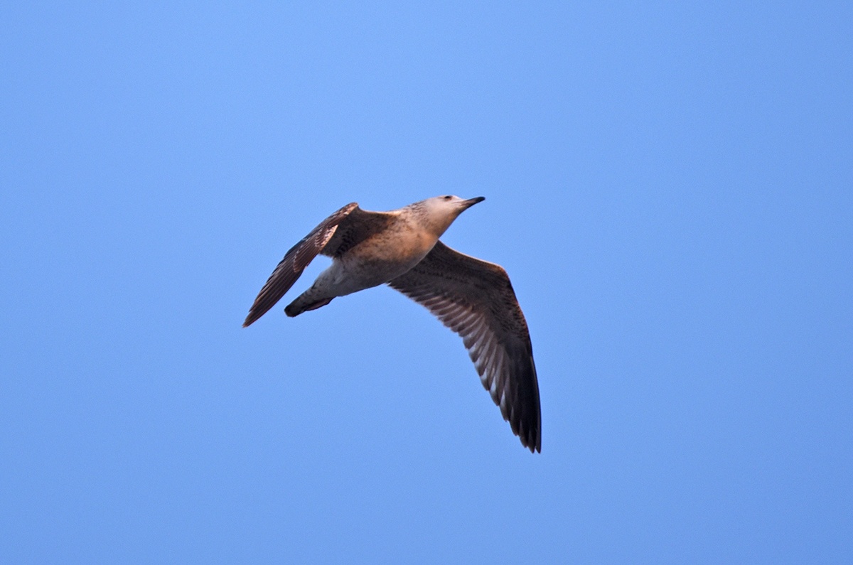 DSC_1898f_��ͼ��.jpg