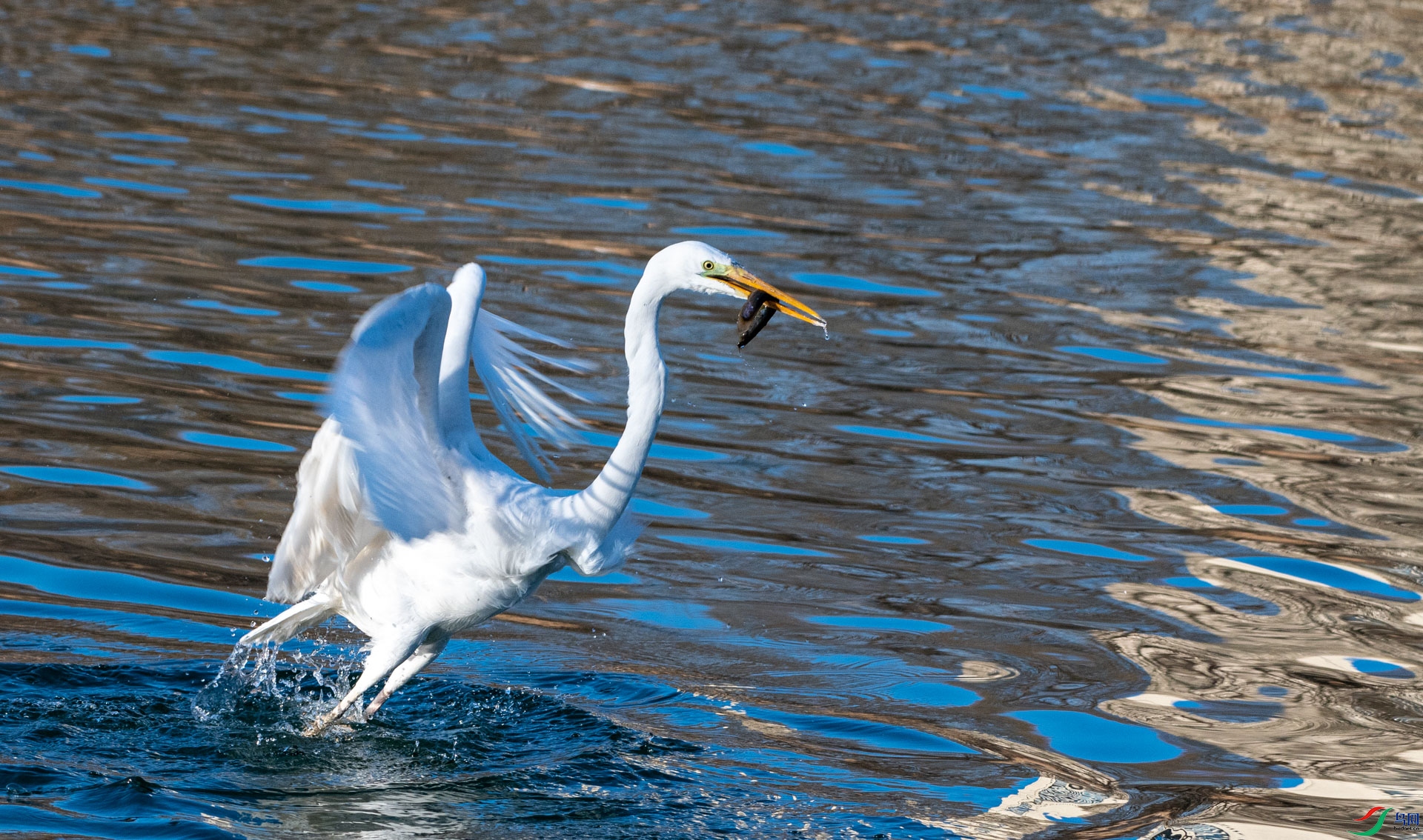 DSC_3916.jpg