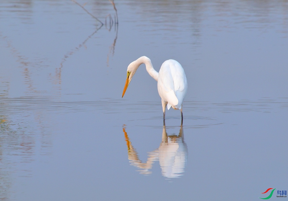 DSC_0473.jpg