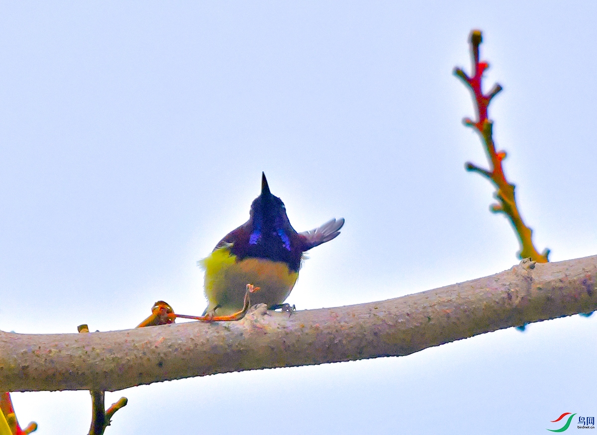 DSC_3884.JPG