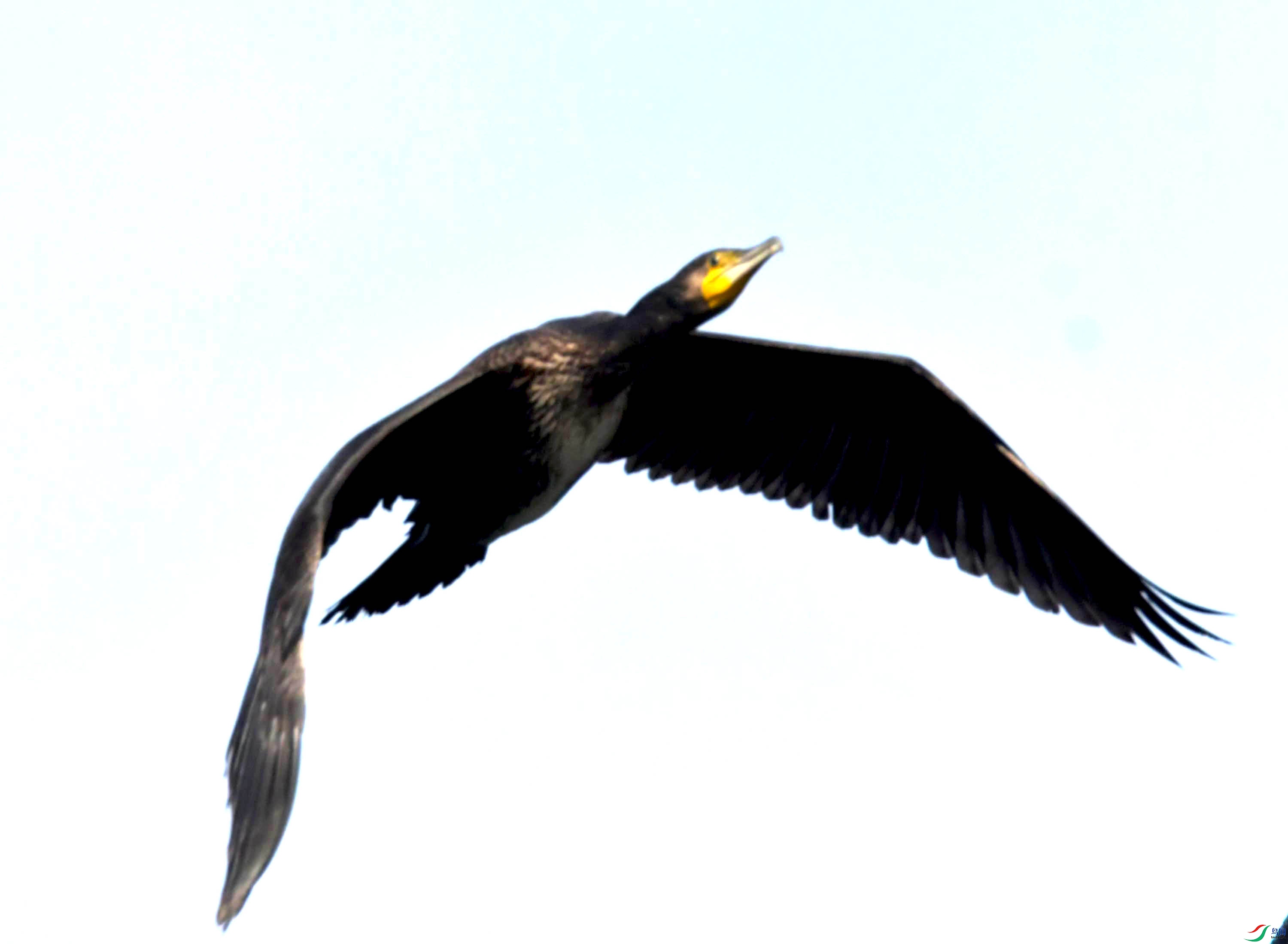DSC_3517.JPG