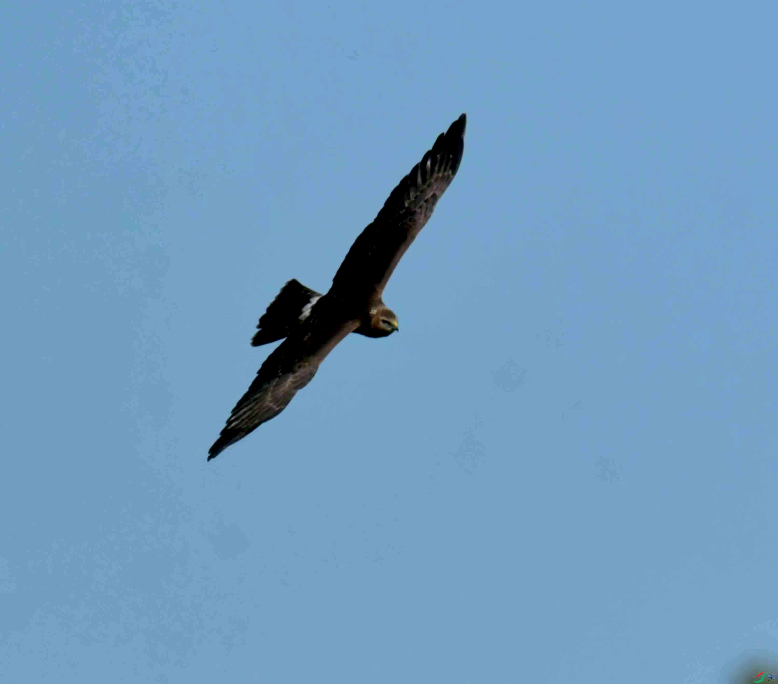 DSC_4192.JPG