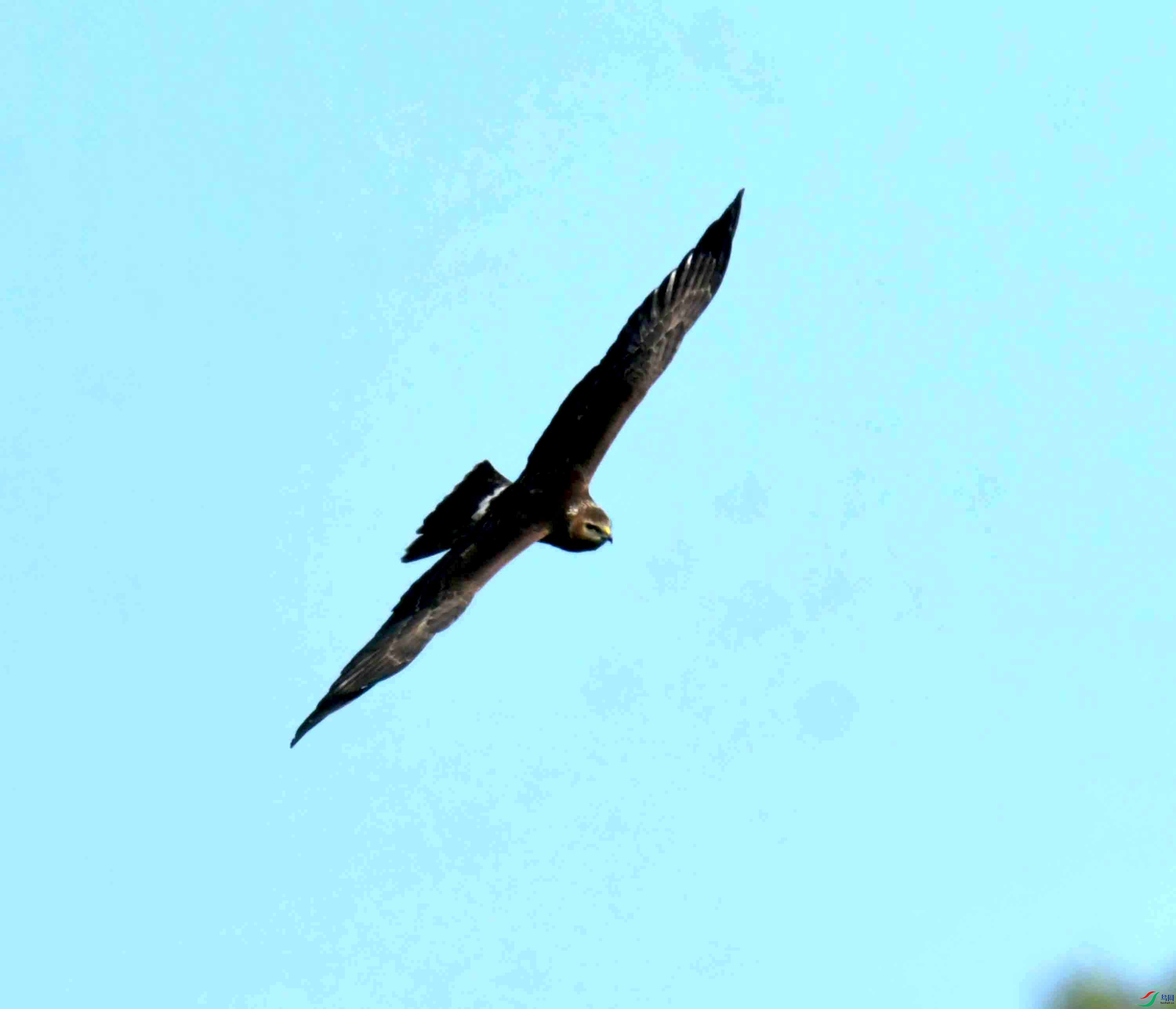 DSC_4193.JPG