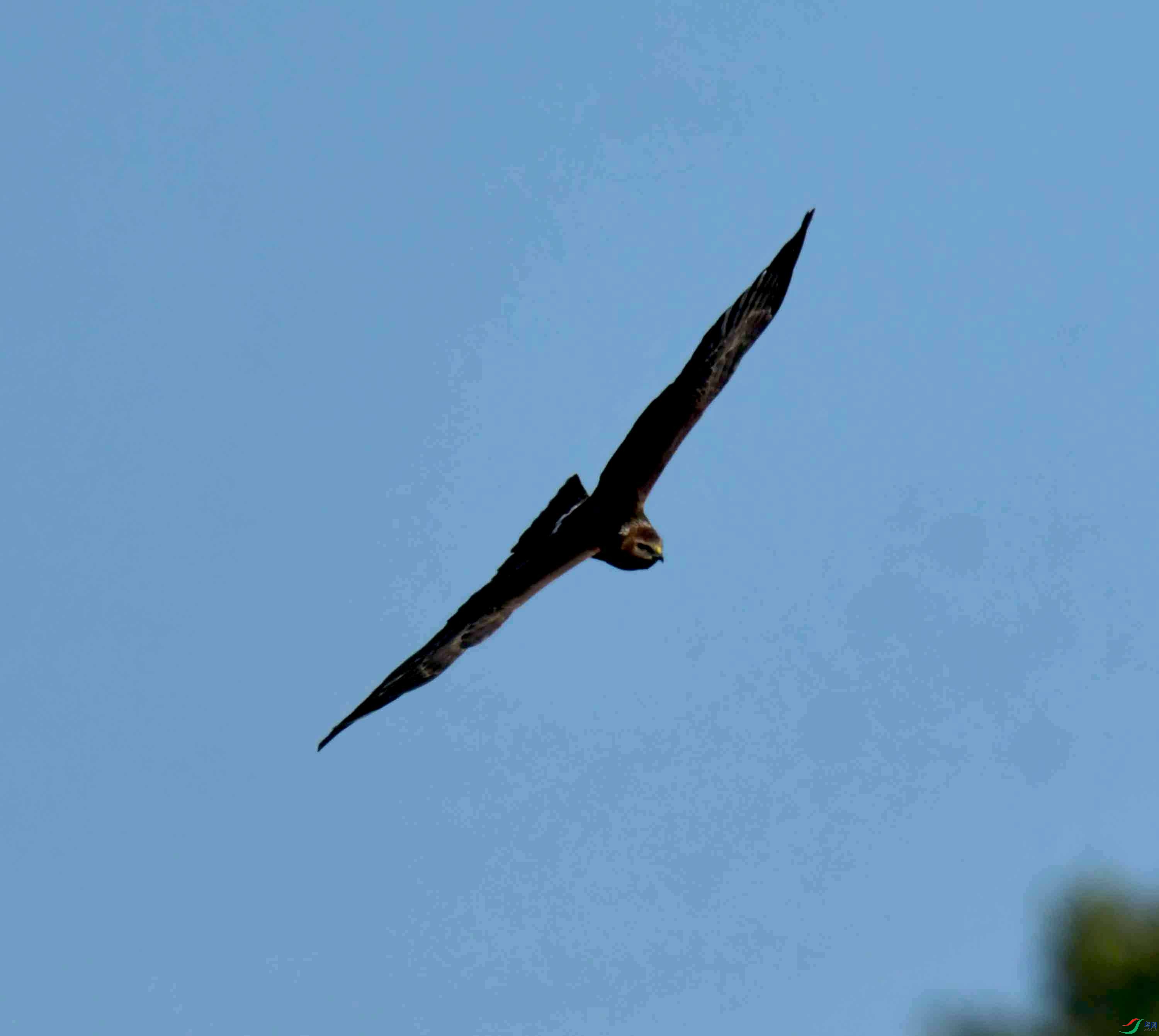 DSC_4194.JPG