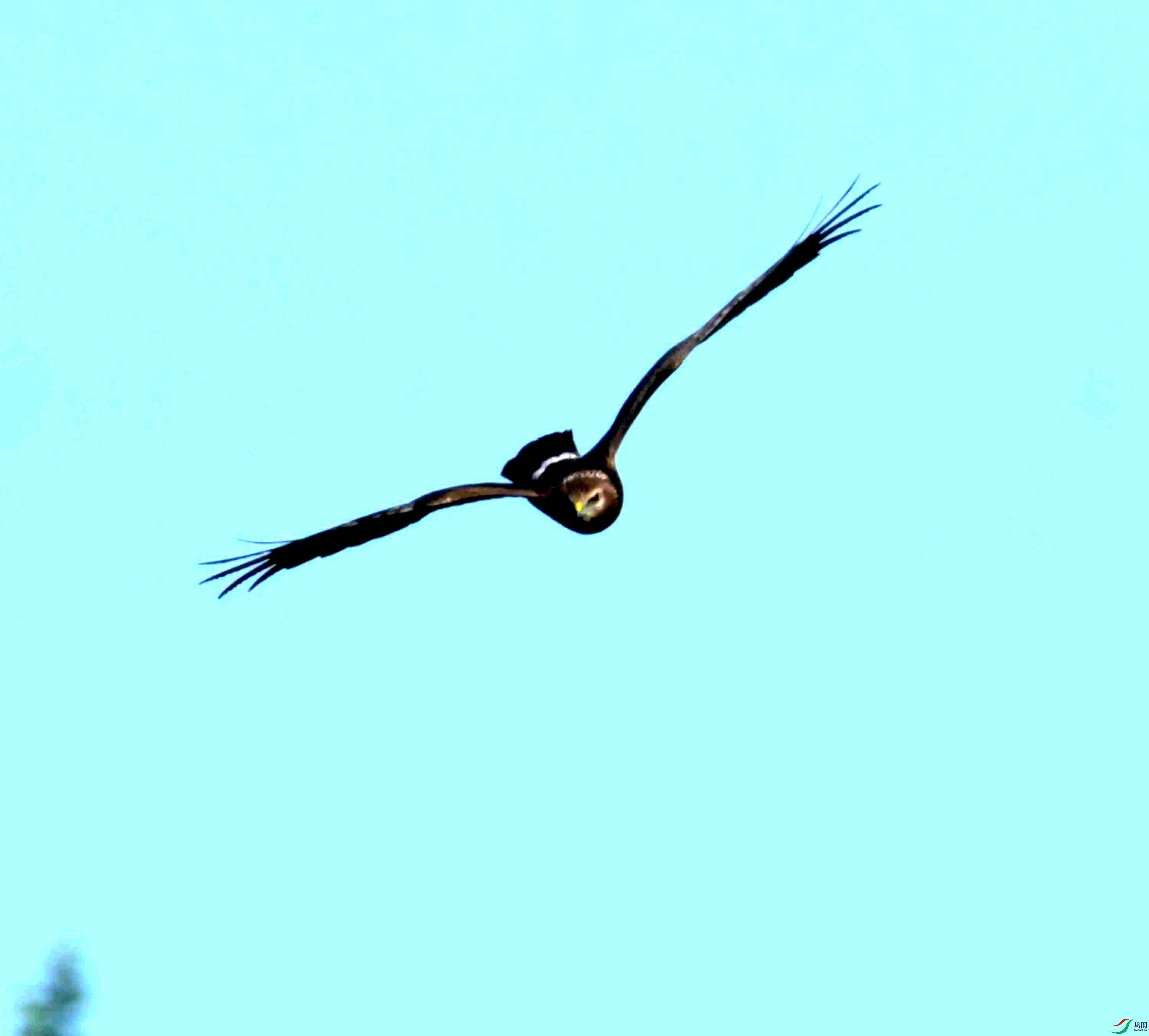 DSC_4198.JPG