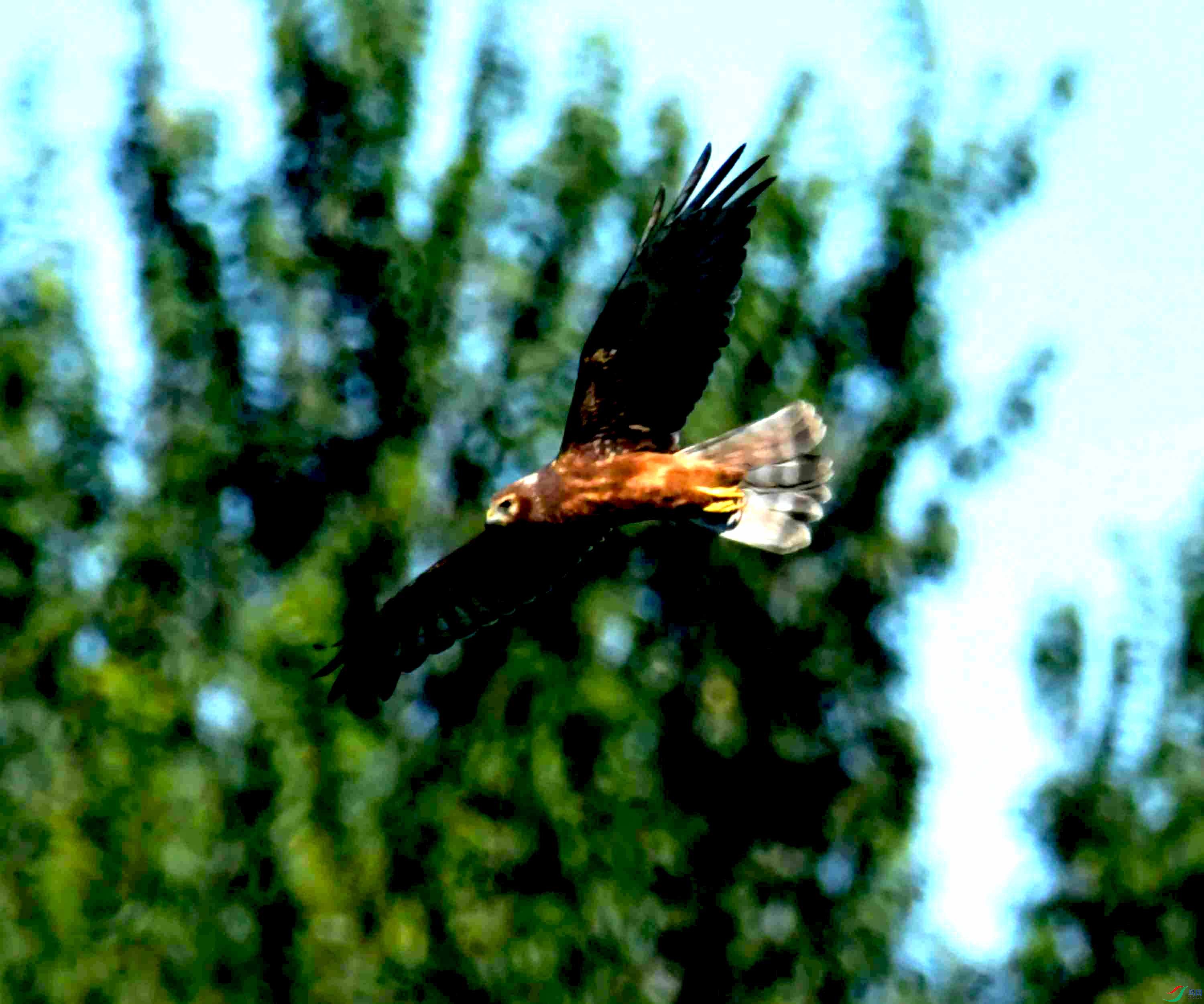 DSC_4200.JPG