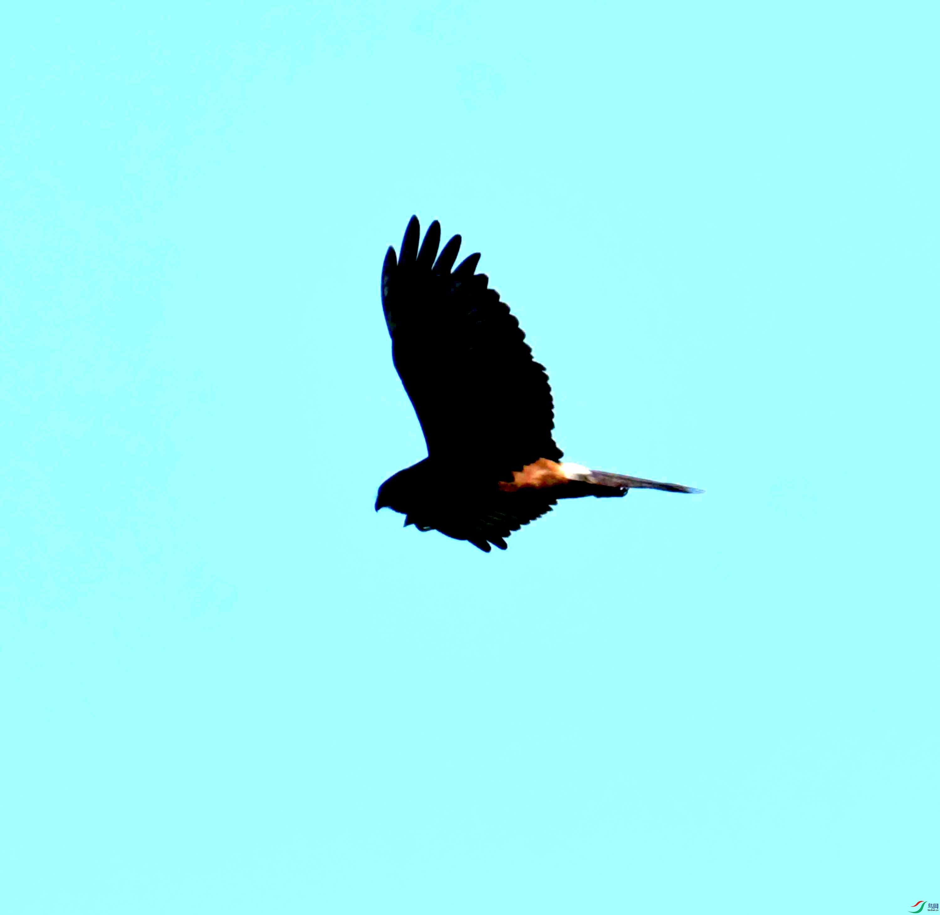 DSC_4206.JPG