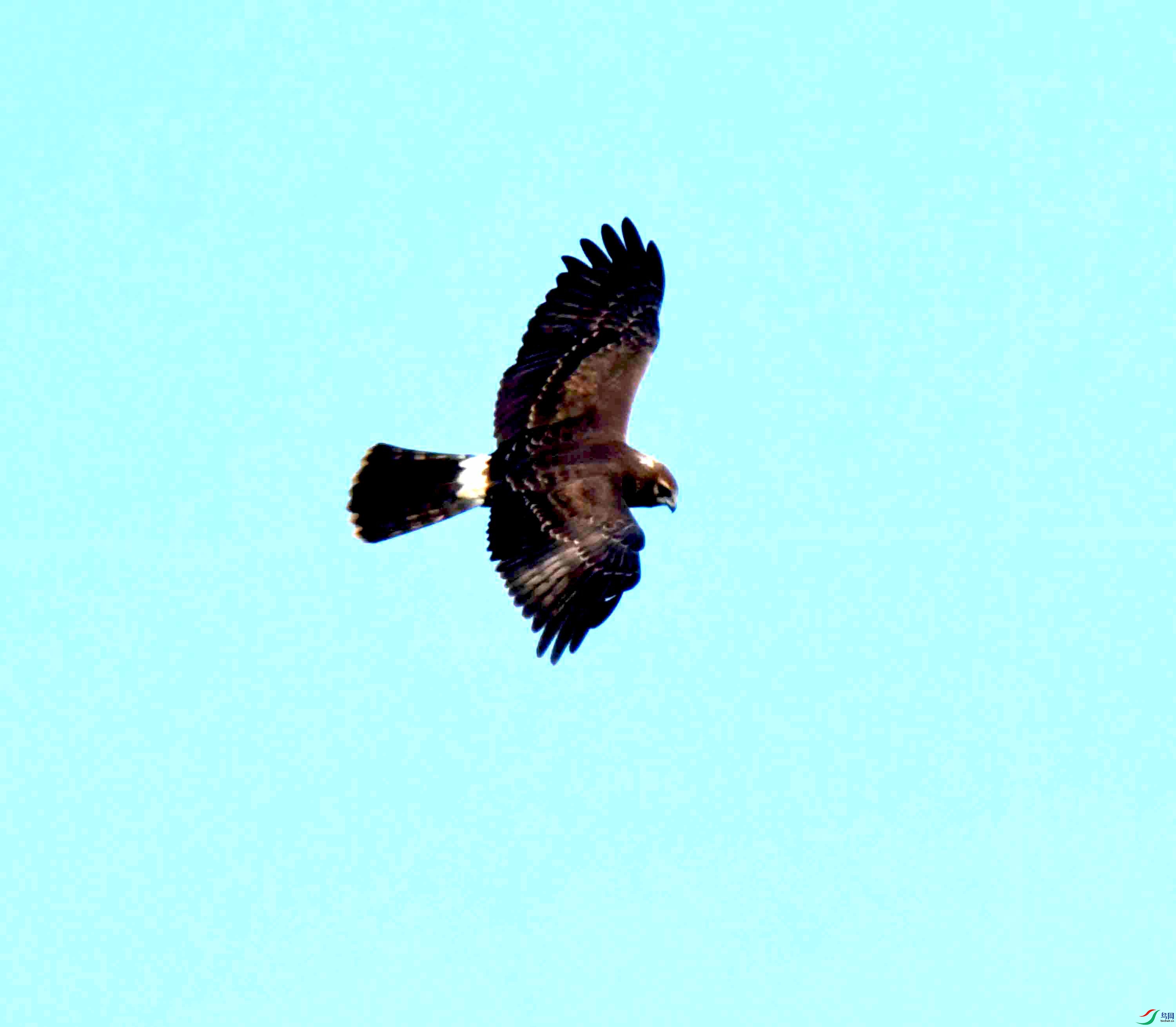 DSC_4212.JPG