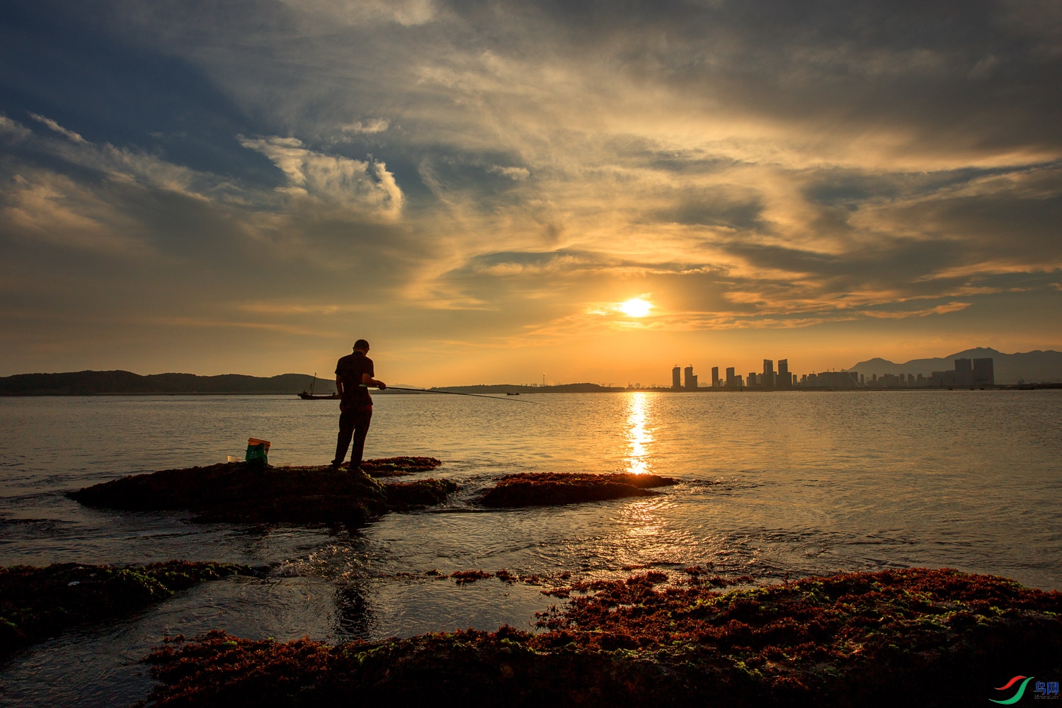 LUIS3930 ����.jpg