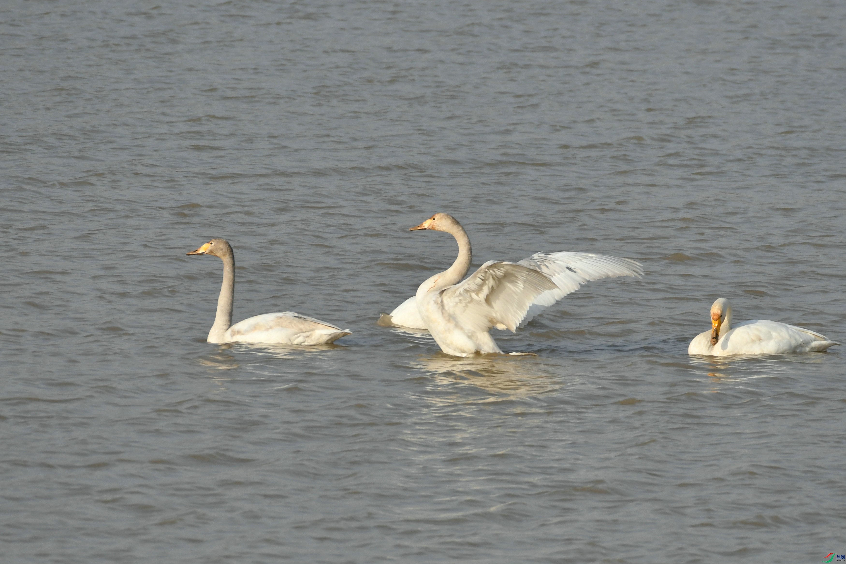 DSC_8994.JPG