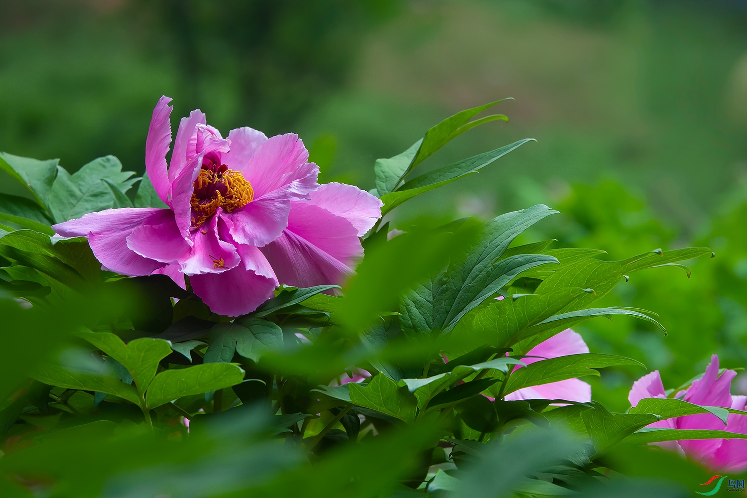 _DSC6553.jpg