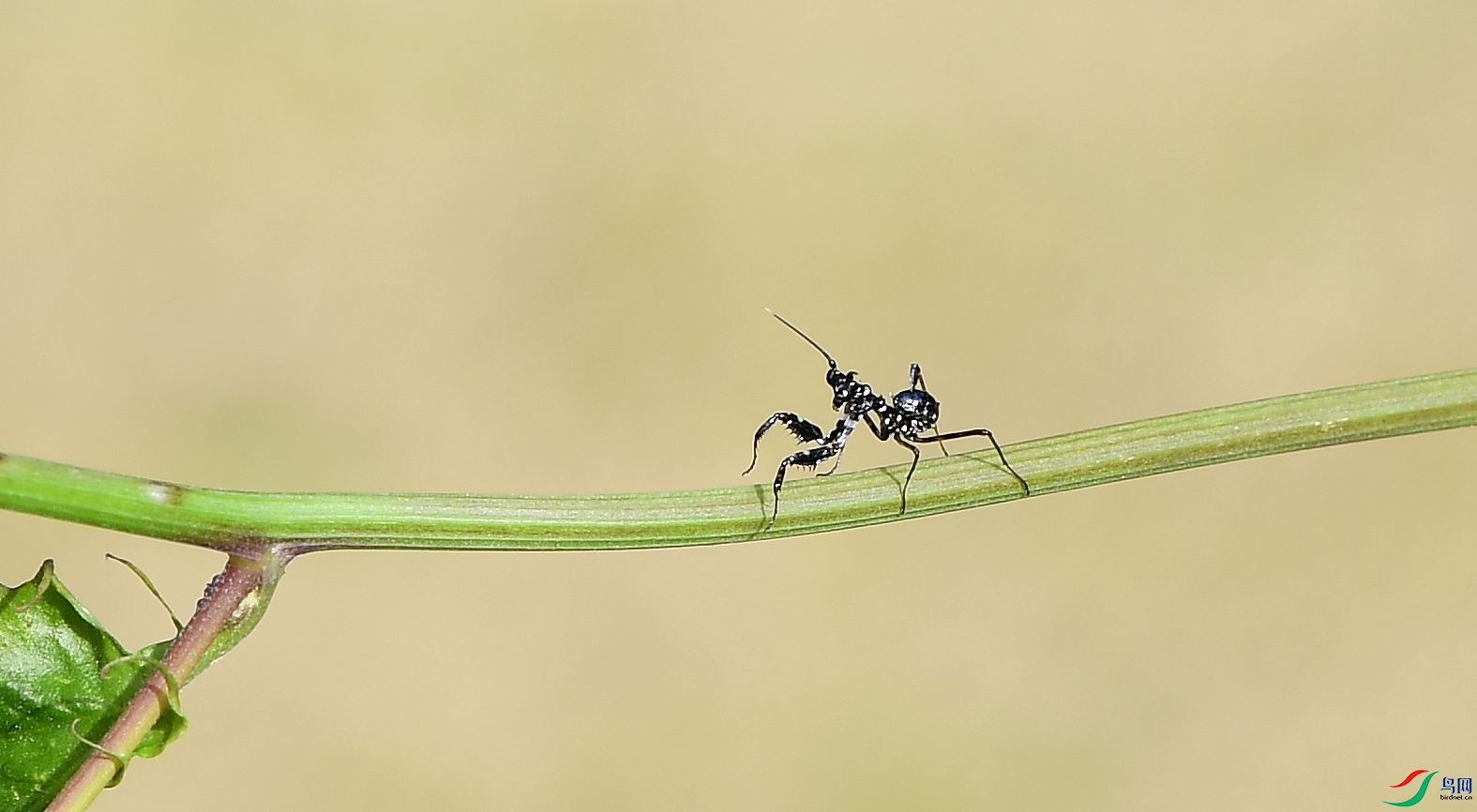 DSC_3062_����.jpg