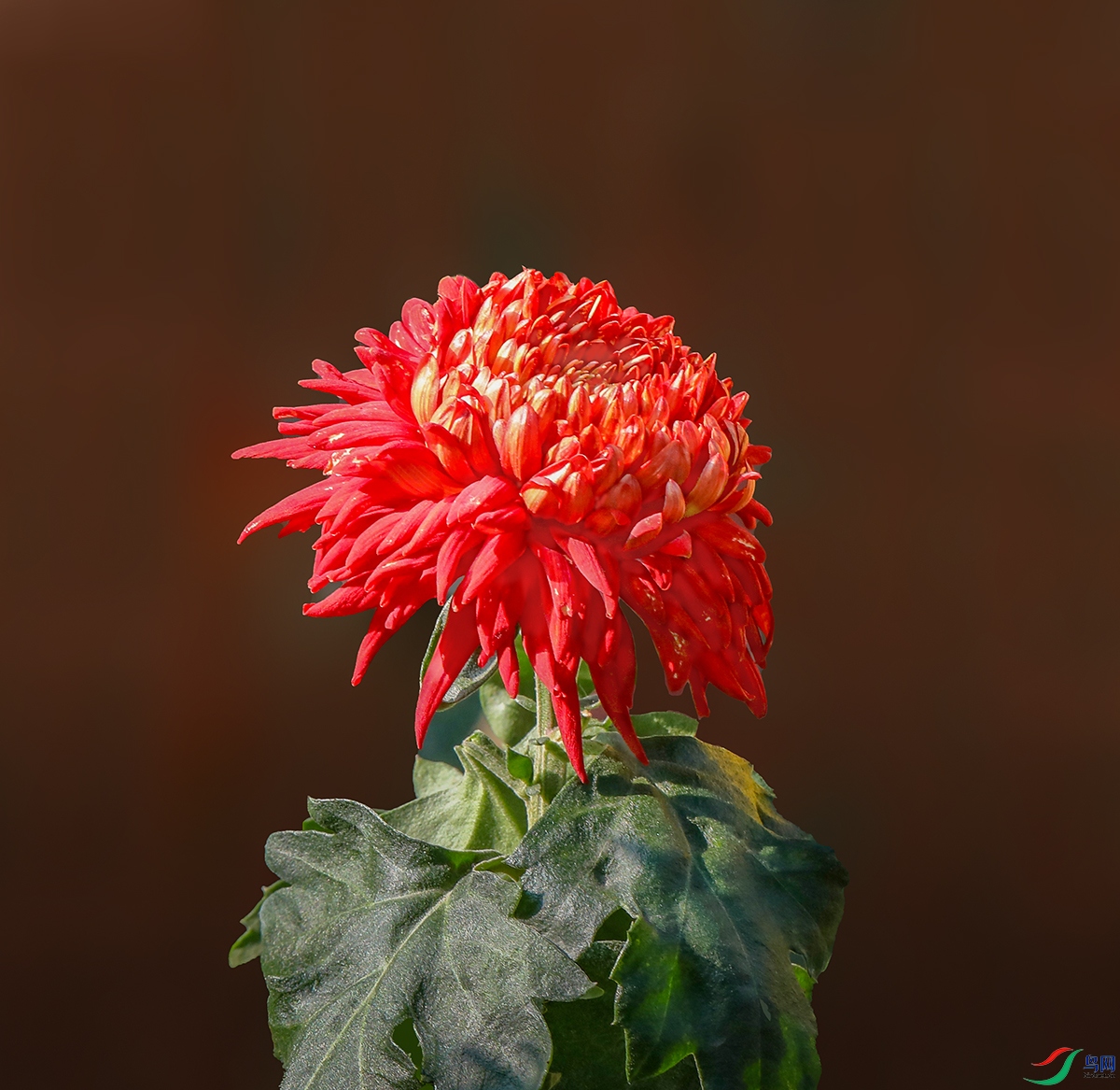 00000IMG_5782 ���� 800k.jpg