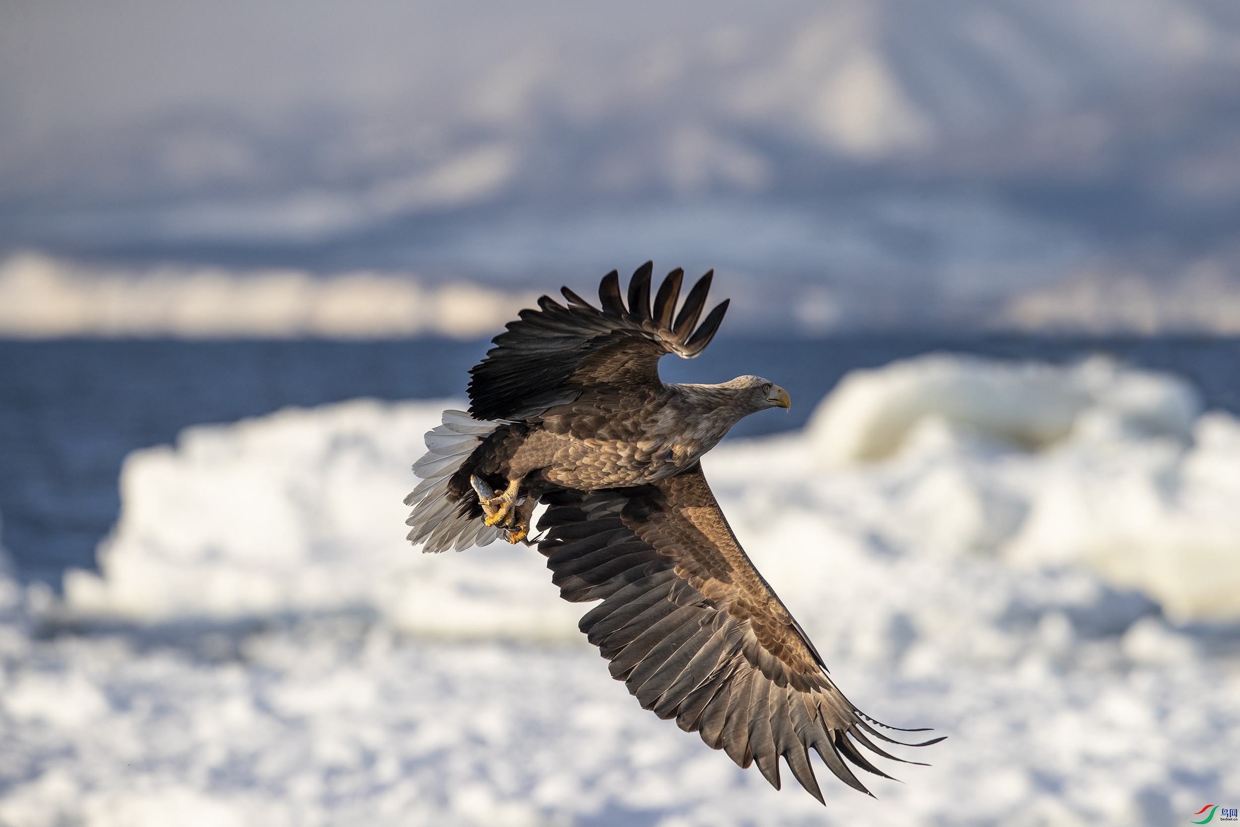 AC3I1838 ����.jpg