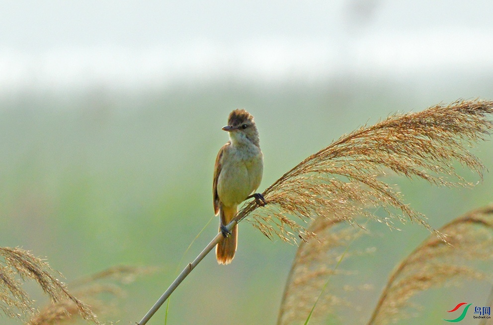 DSC_0327.jpg