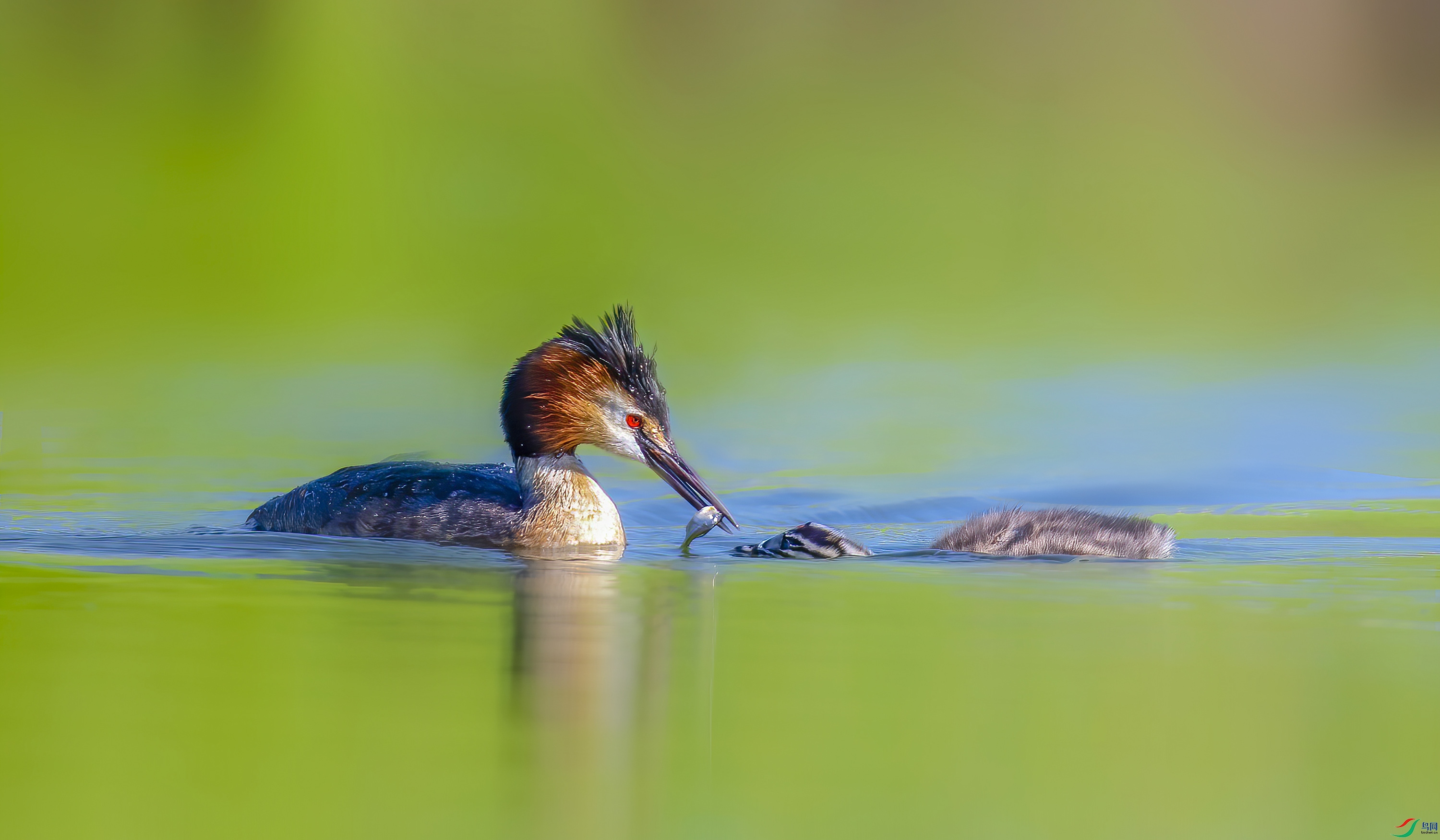 _JLN1749     ok     ok.jpg