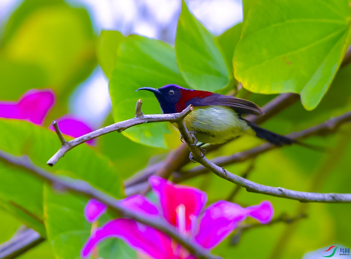 DSC_5125.JPG