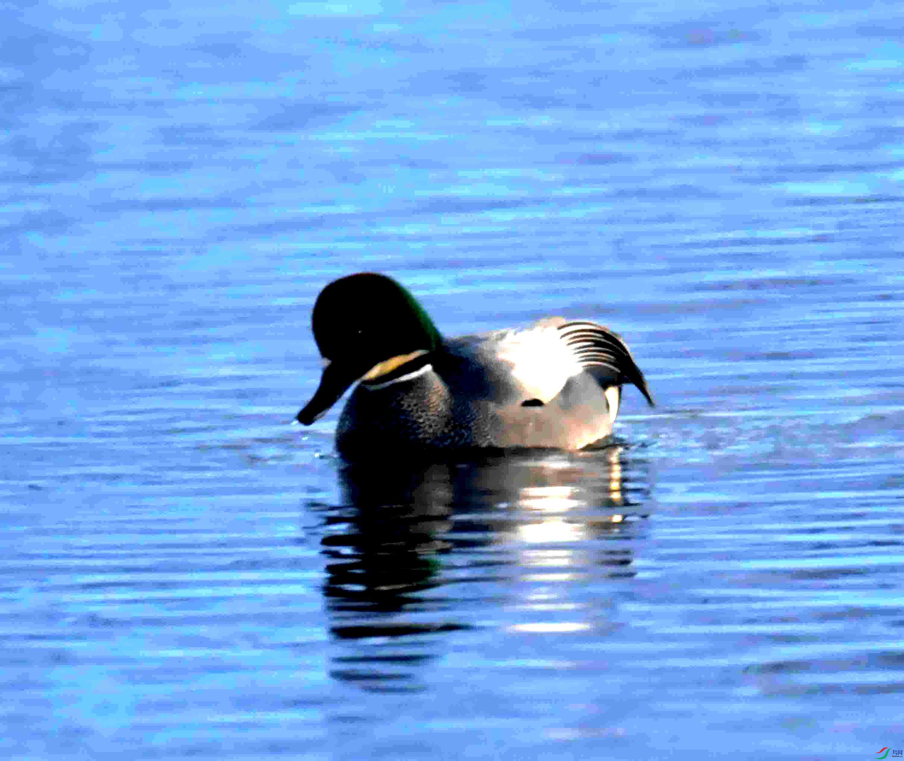DSC_1835.JPG