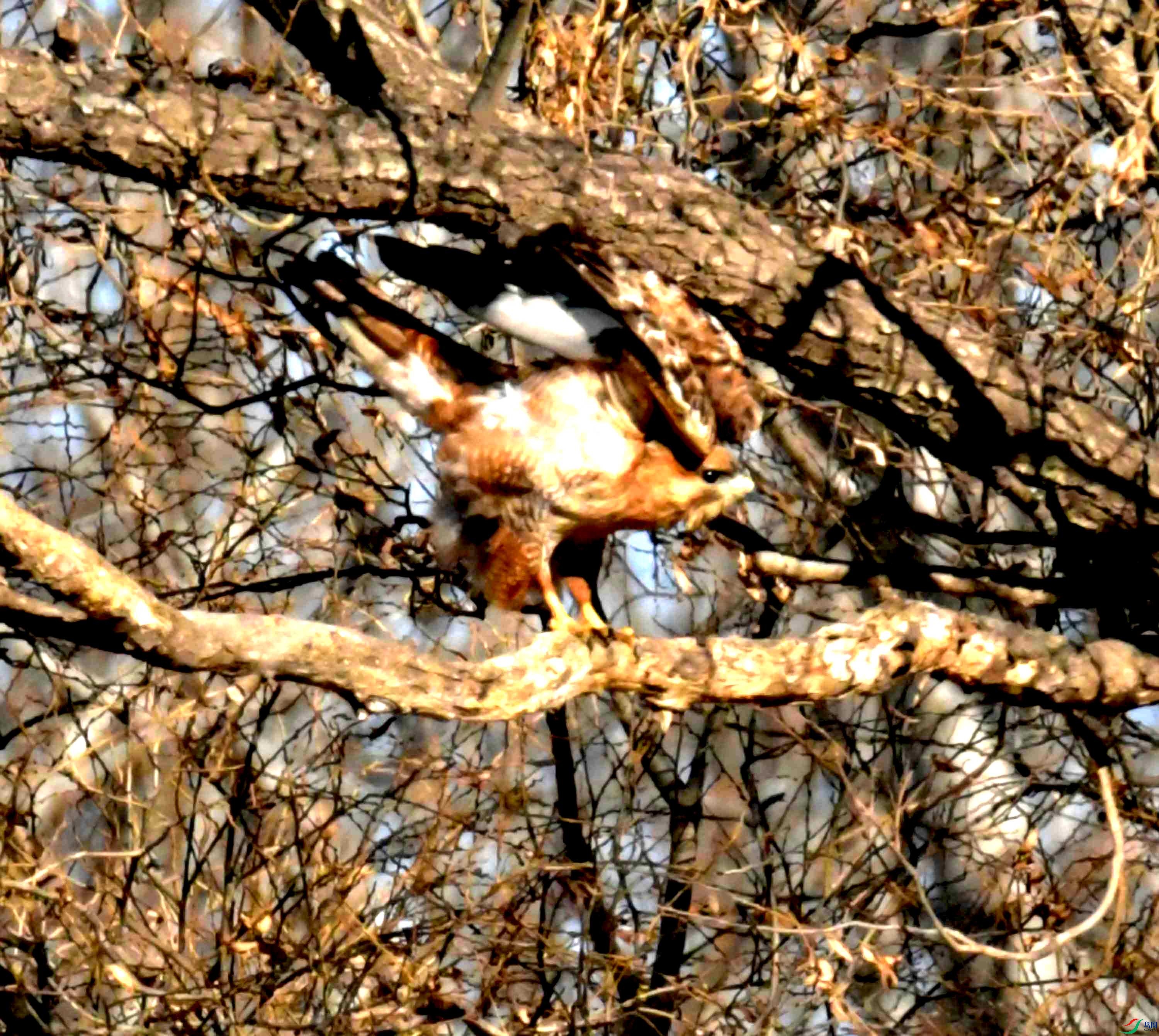 DSC_2677.JPG