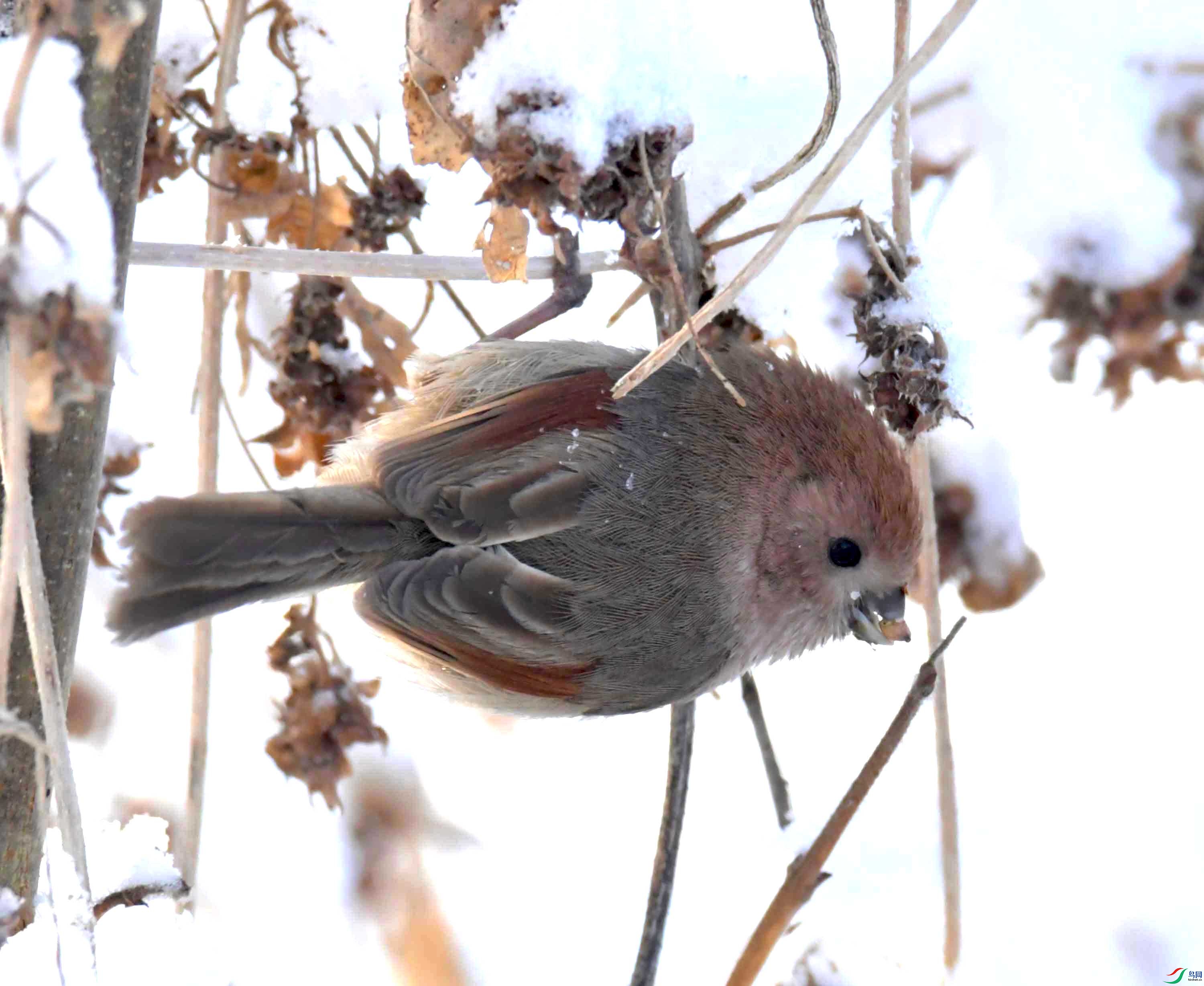 DSC_2245.JPG