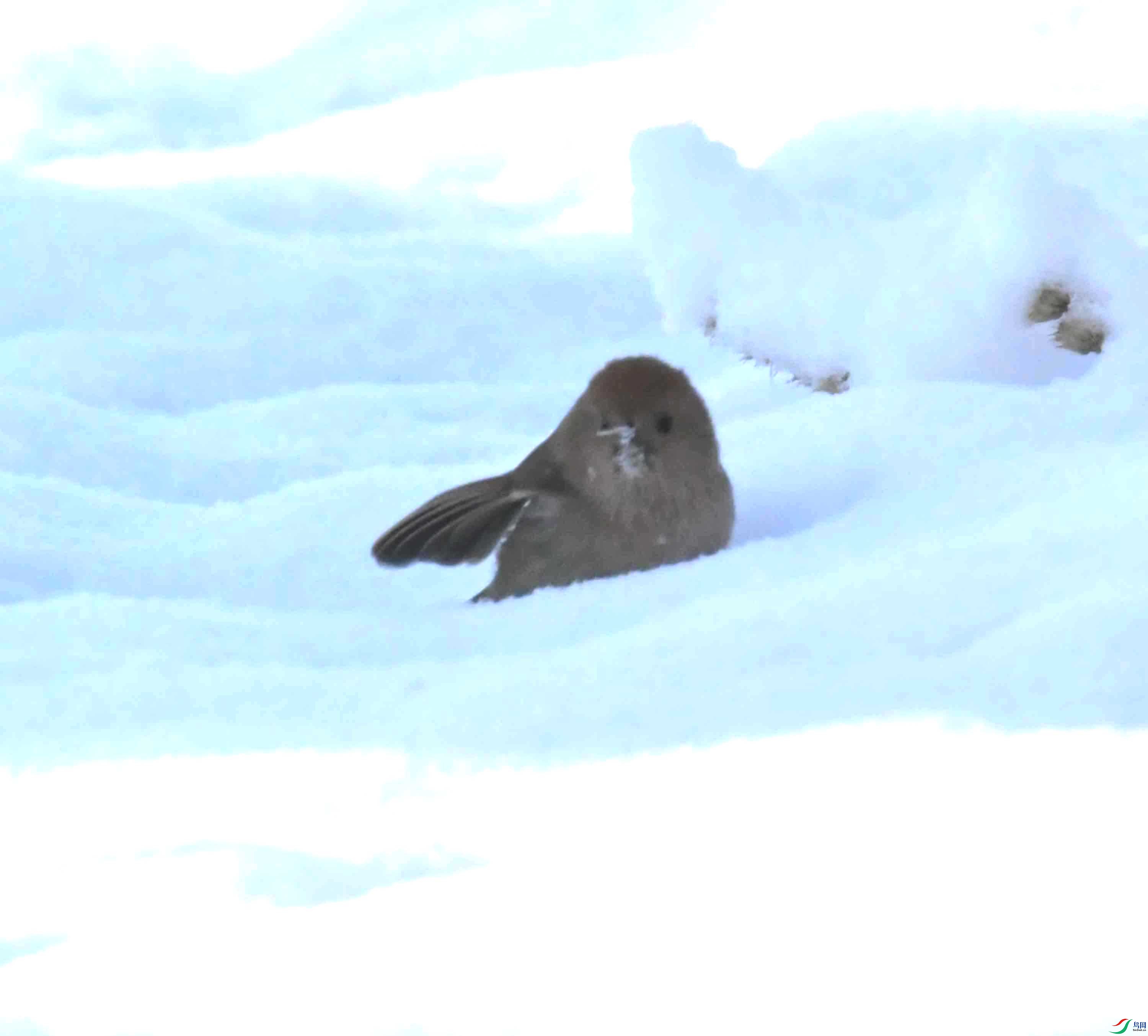 DSC_2277.JPG