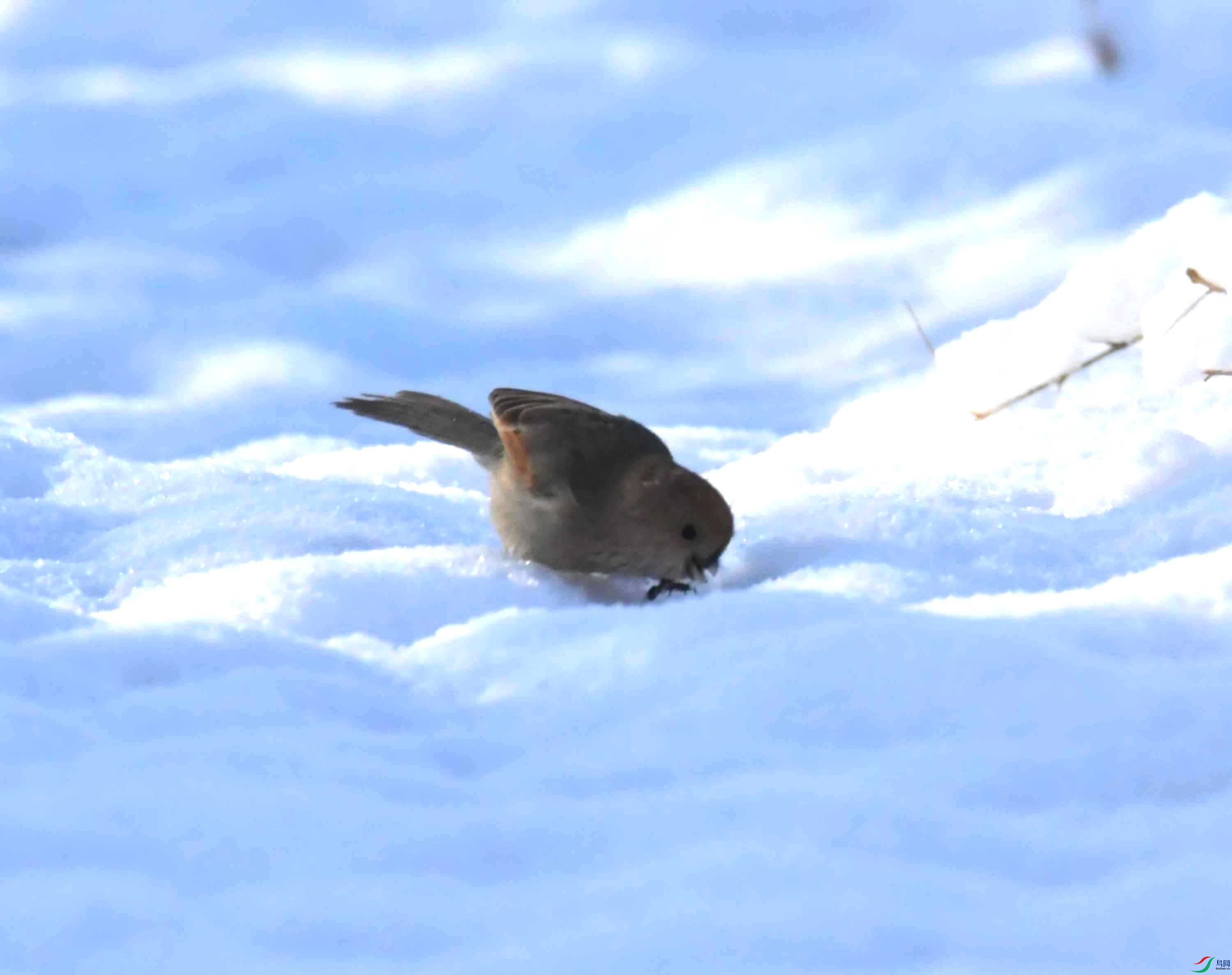 DSC_2303.JPG